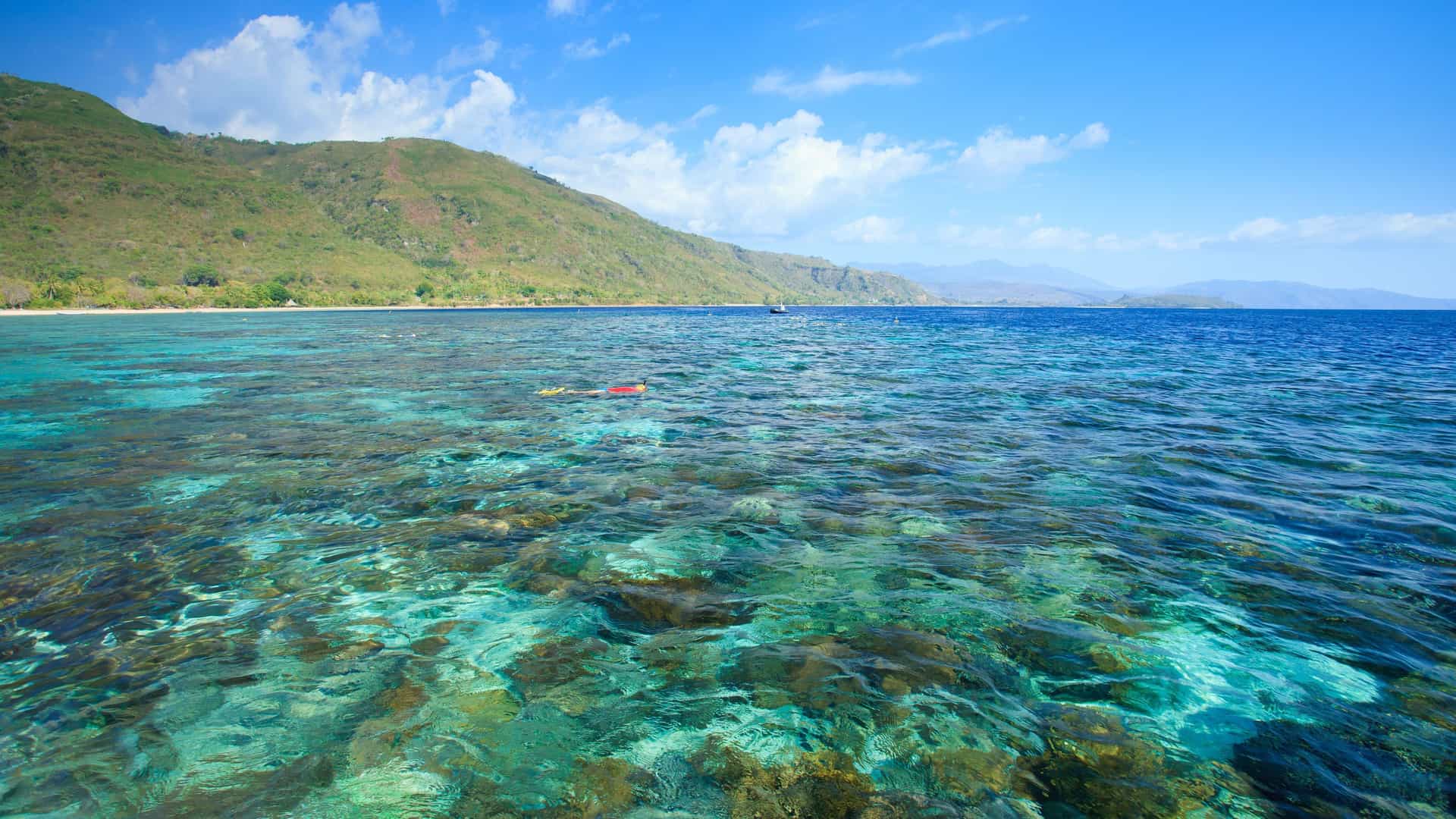 A stunning view of Alor Island, with clear turquoise water revealing a vibrant coral reef, and lush green hills rising from the coastline under a bright blue sky.