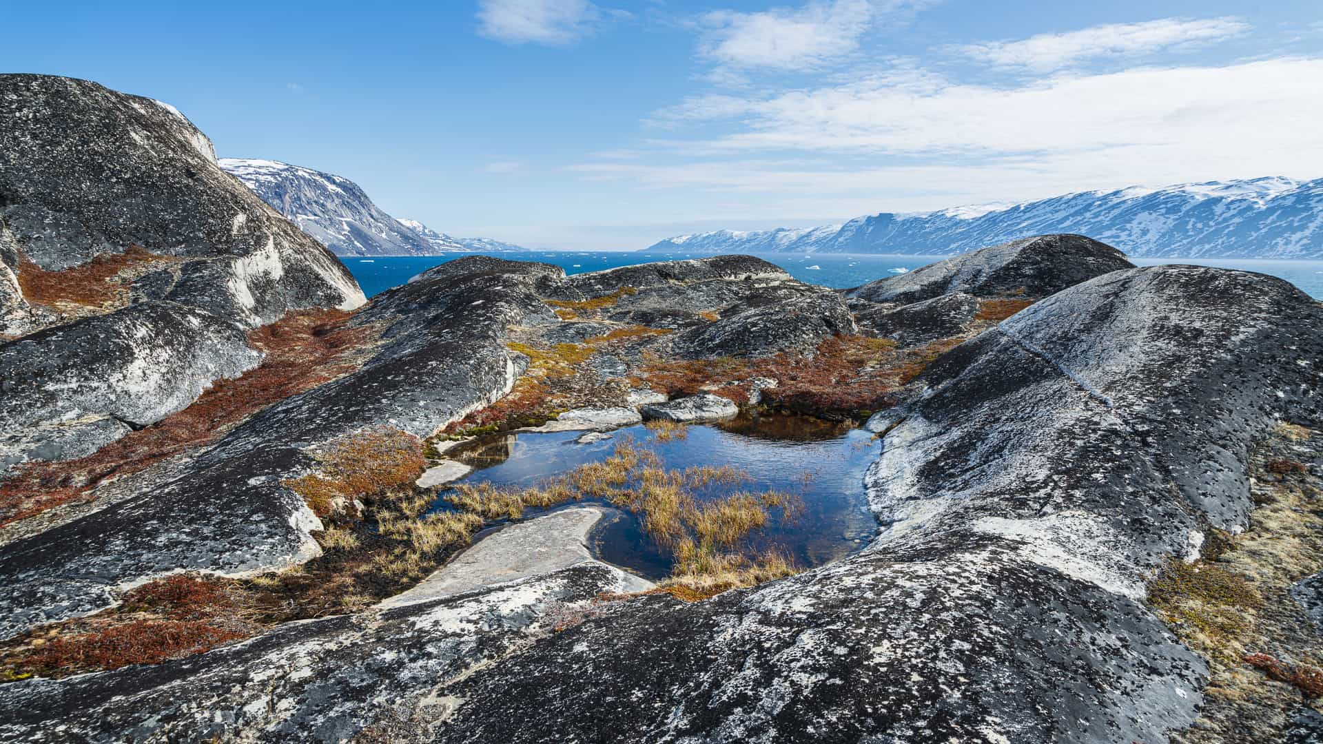 A rugged coastal landscape in Ata Sund with dark rocky terrain, patches of moss and grass, a small pool of water in the foreground, and a distant fjord leading toward snow‑capped mountains beneath a partly cloudy sky.