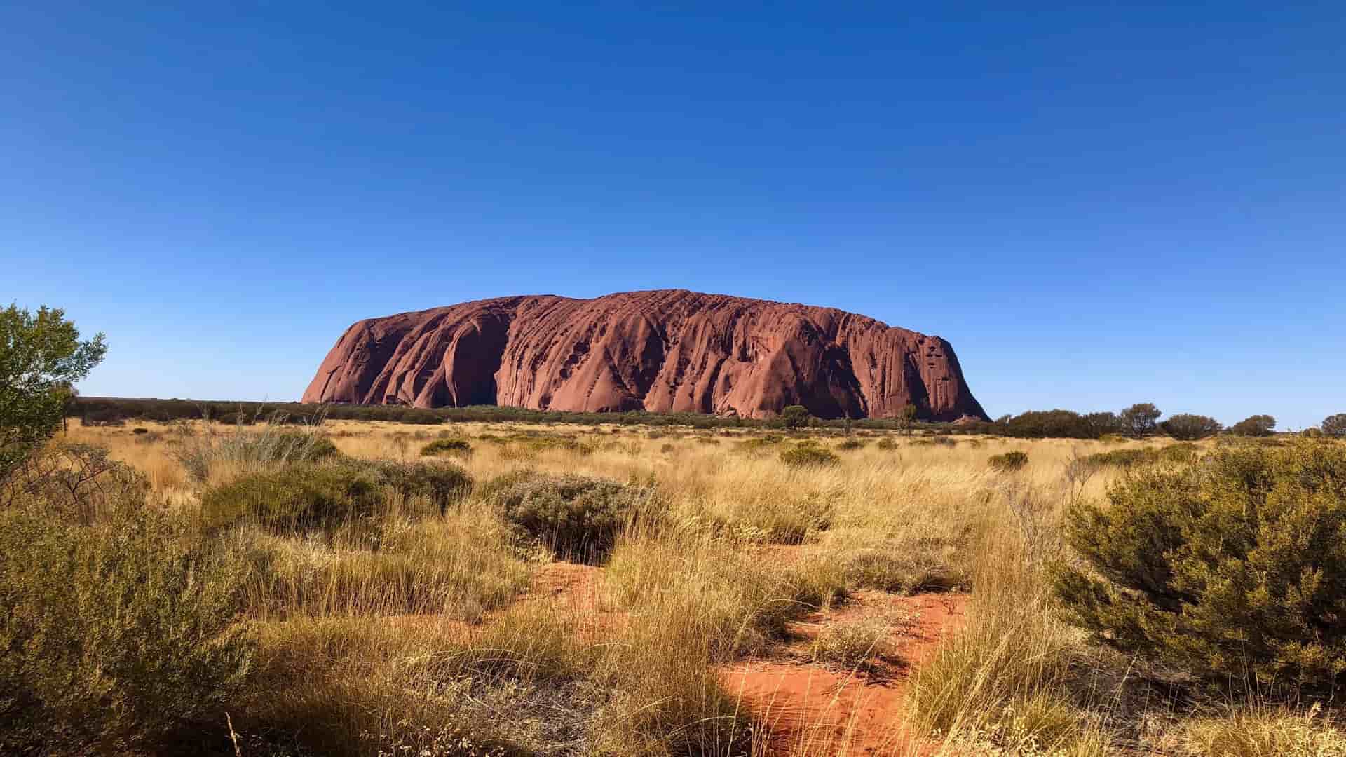 A landscape view of the massive Uluru monolith, also known as Ayers Rock, in Australia's Red Centre, surrounded by arid vegetation under a clear blue sky.