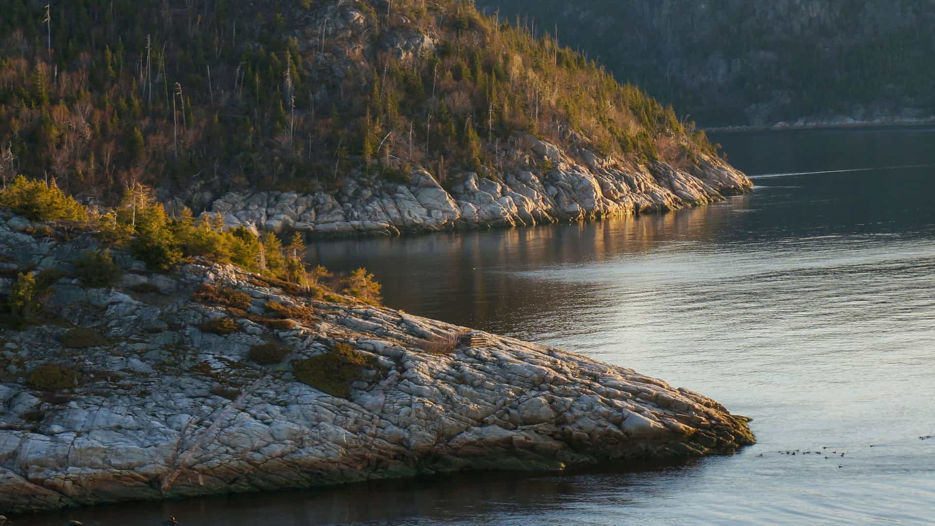 A beautiful shot of the rocky coastline of Baie-Comeau, a port city in Quebec, Canada, with rugged cliffs covered in pine trees meeting the calm, reflective waters of the bay.