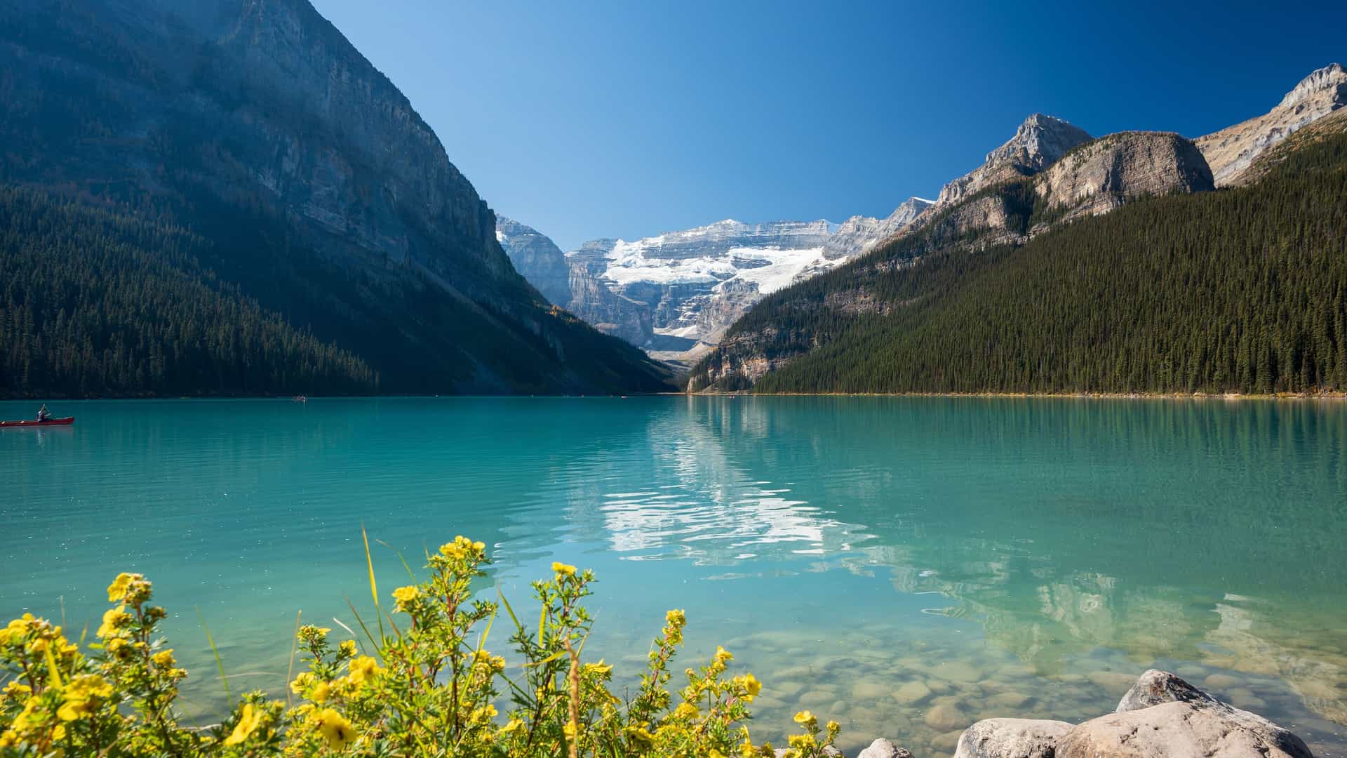 A scenic view of the vibrant, turquoise-colored Lake Louise in Banff National Park, Canada. The lake is framed by steep, tree-covered mountains, with a large, snow-capped peak and glacier visible in the distance. A single red canoe is on the water, and bright yellow flowers are in the foreground under a clear, deep blue sky.