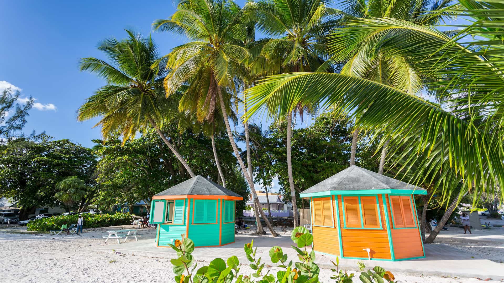 Two small, vibrant beach huts, one turquoise and one orange, stand on a white sand beach in Barbados, framed by lush palm trees under a bright blue sky.