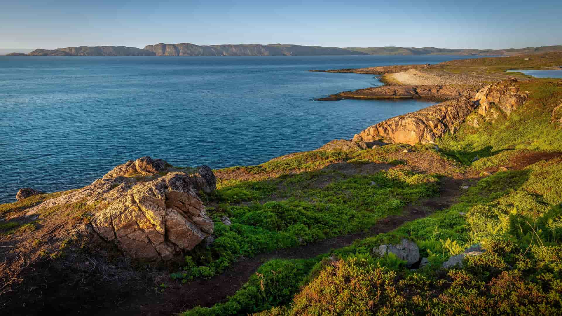 A stunning coastal landscape of the Barents Sea near Honningsvåg, Norway, with rocky cliffs, green vegetation, and a clear blue sea under a sunny sky.