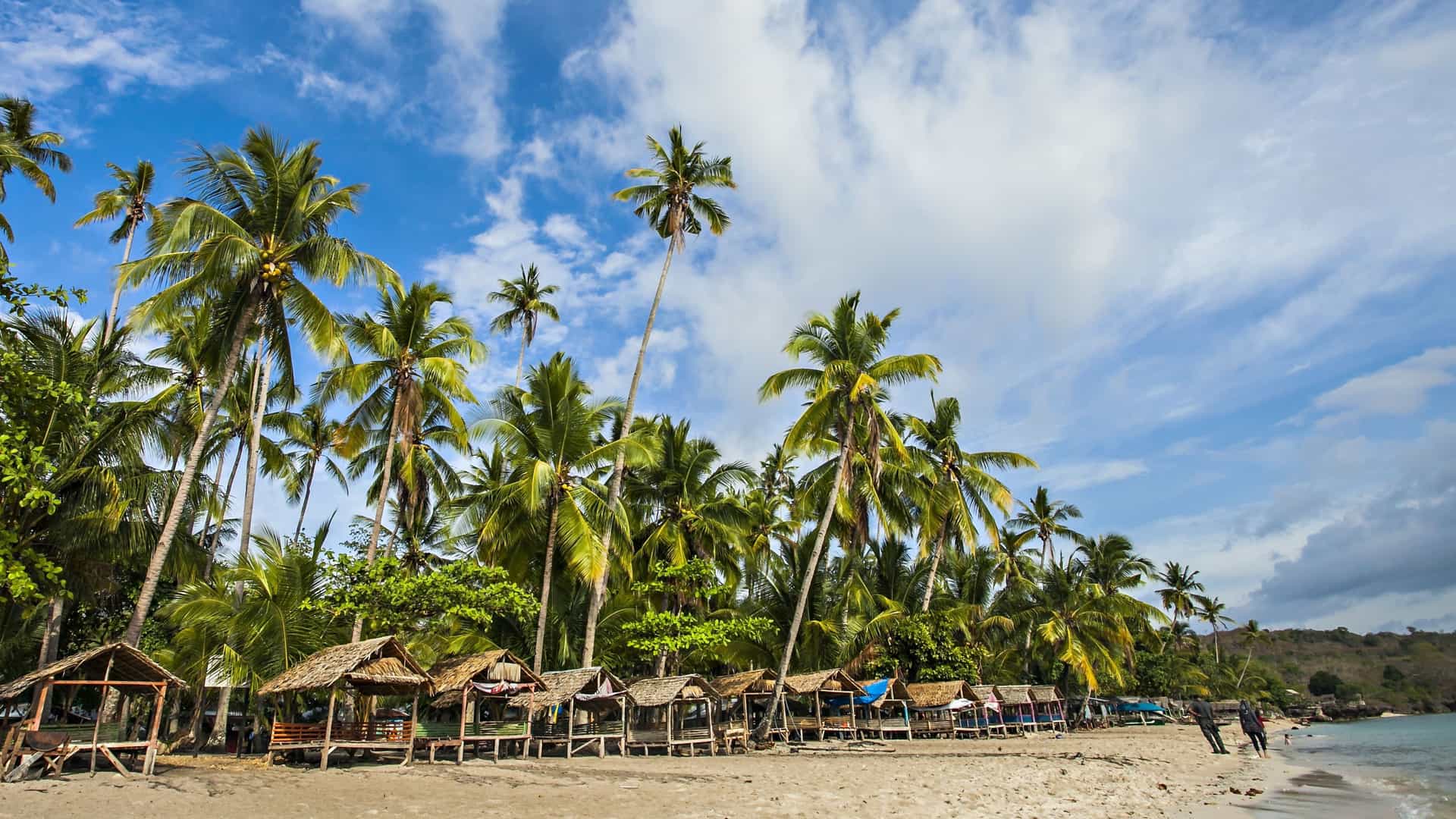A scenic beach with numerous tall palm trees and traditional wooden huts on a sandy shoreline, with a man walking along the water's edge on a sunny day.