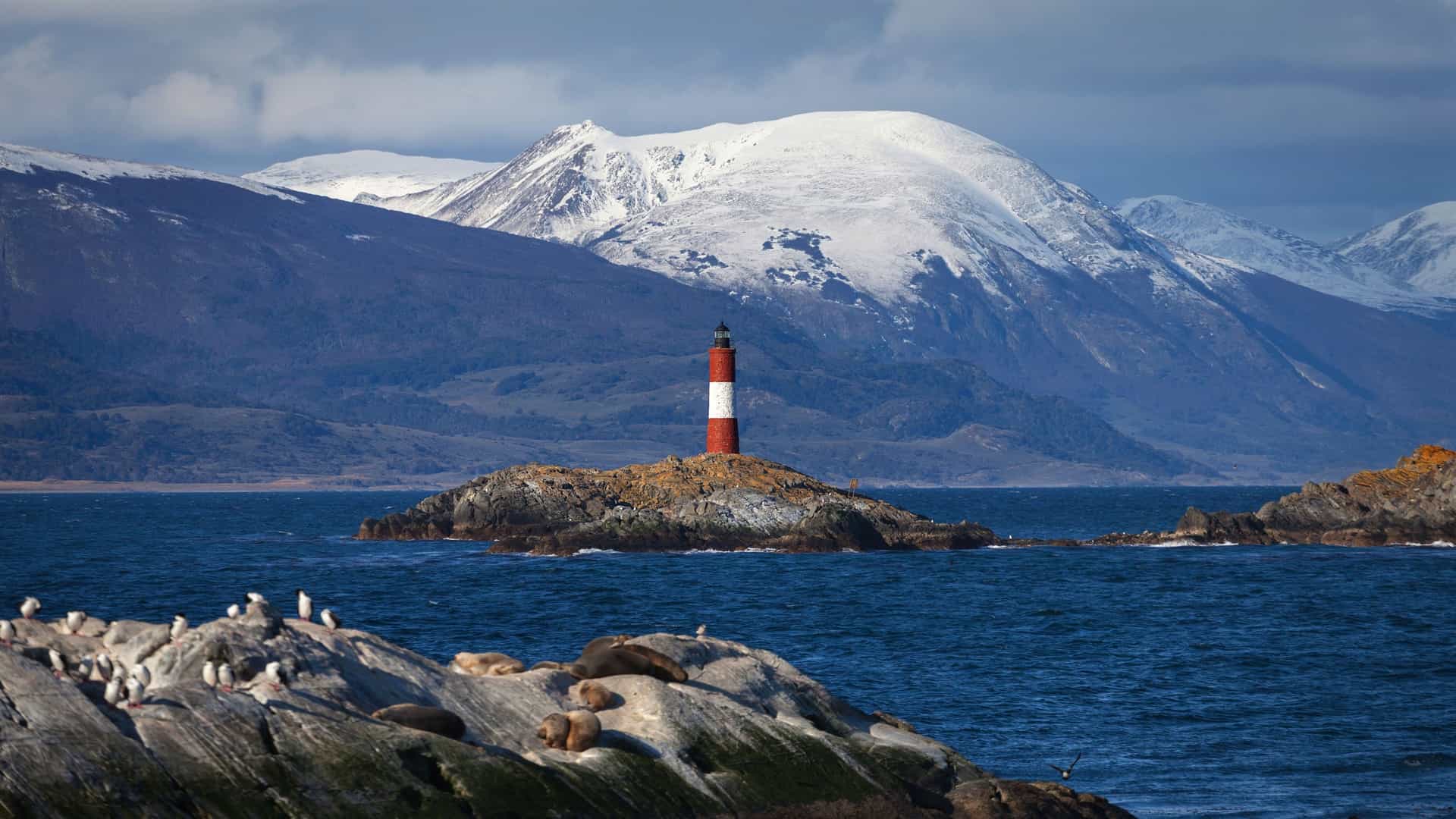 A striking image of Les Éclaireurs Lighthouse on a small rocky islet in the Beagle Channel, with seals and sea lions resting nearby and snow-capped mountains in the background.