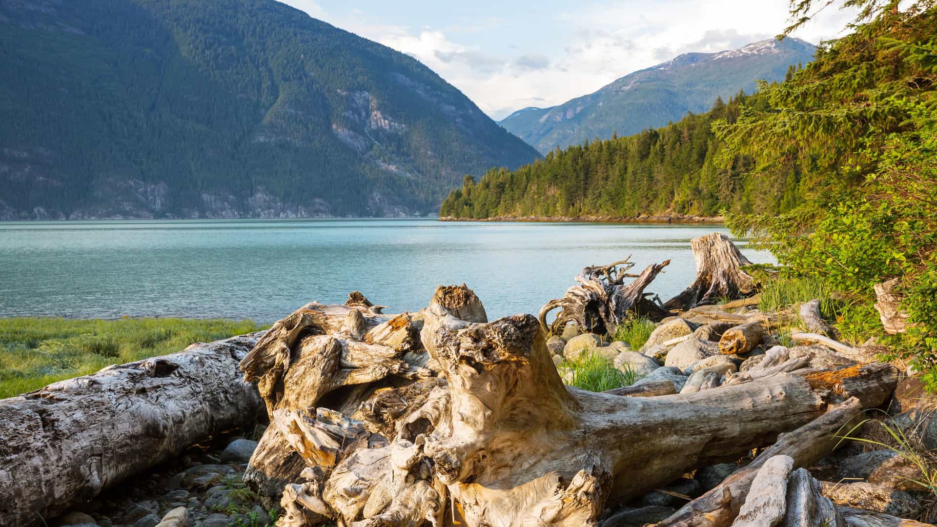 A serene sunset landscape of a rugged coastal shoreline in Bella Bella, British Columbia, with a foreground of driftwood and a background of calm water and majestic, forested mountains.