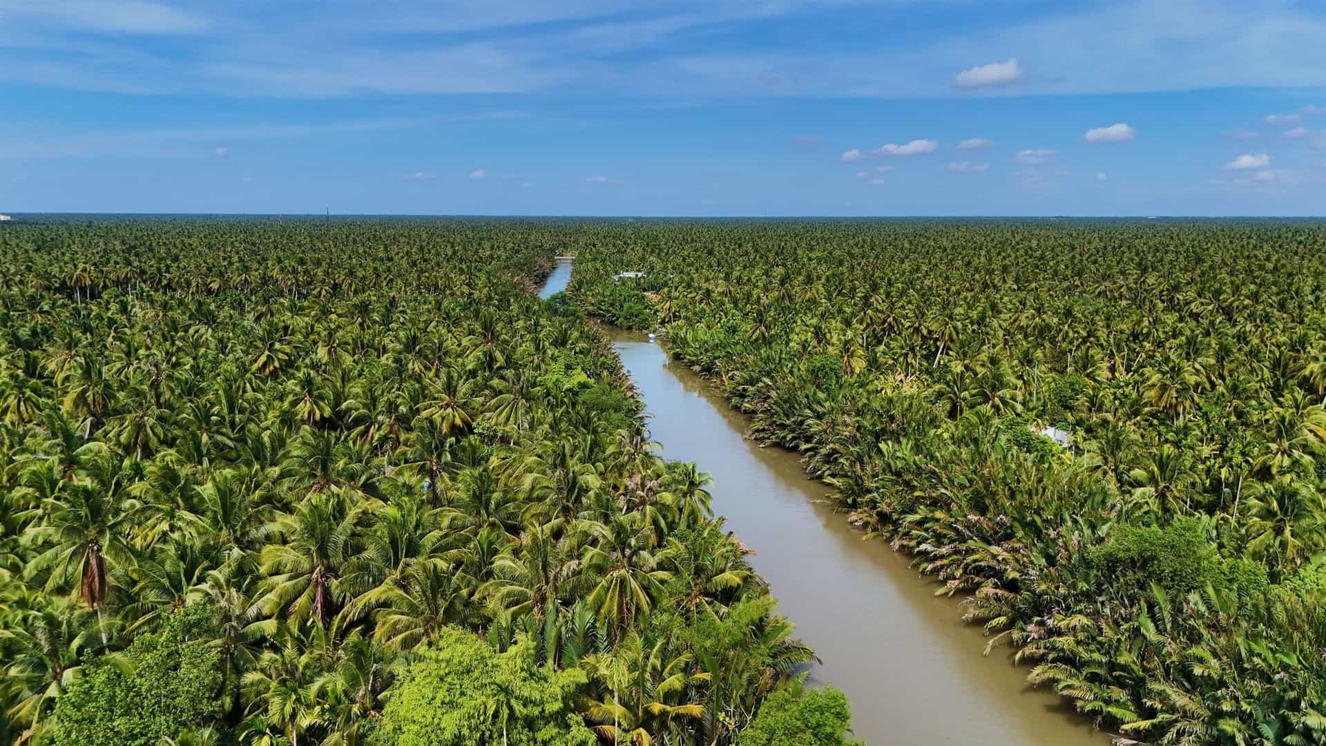 An aerial shot of Ben Tre, Vietnam, showing a winding river cutting through a vast, dense, and lush green palm forest under a bright blue sky with scattered clouds.