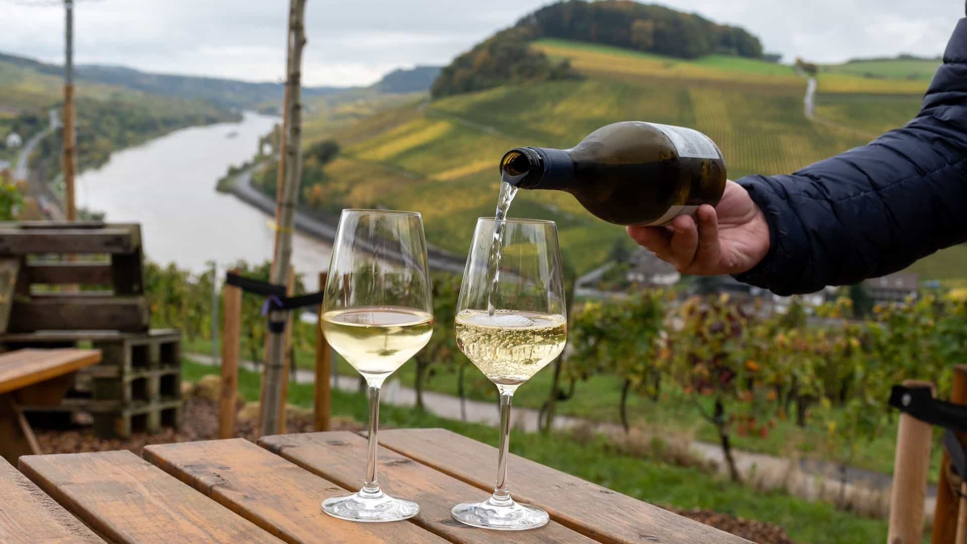 A man's hand pours a glass of white wine at a scenic vineyard overlooking a meandering river valley and terraced hillsides during the autumn season.