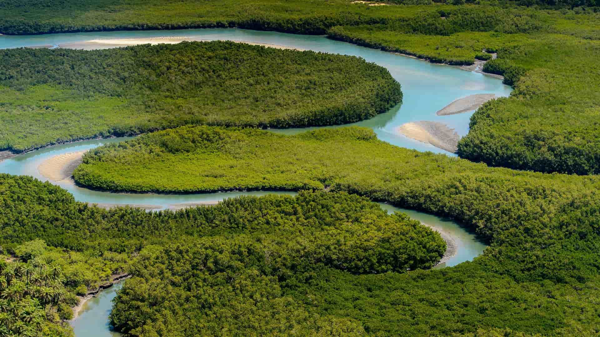 An aerial view of the Bijagos Archipelago, showing a winding, turquoise river surrounded by dense green mangrove forests and a sandy riverbank.