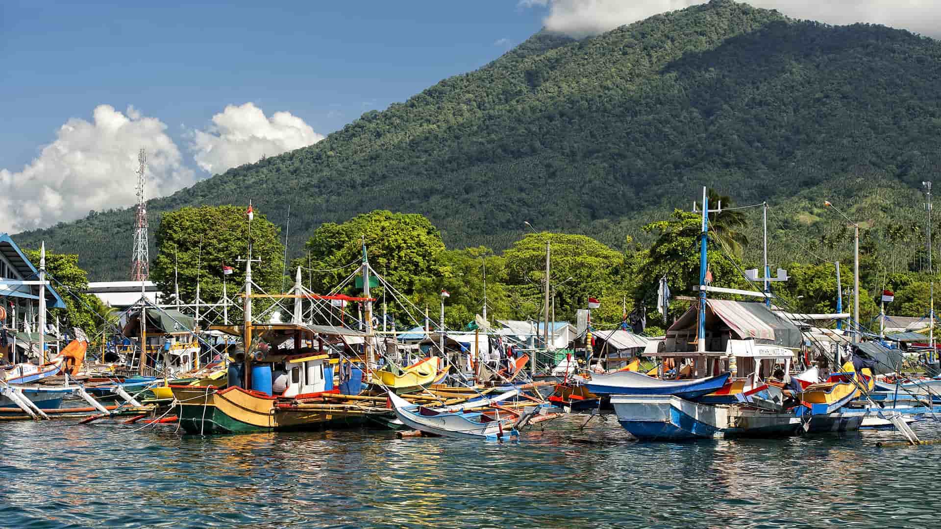 A lively harbor in Bitung, Indonesia, featuring a colorful collection of traditional fishing boats moored in the water with a backdrop of a lush, green, jungle-covered mountain and a bright blue sky.