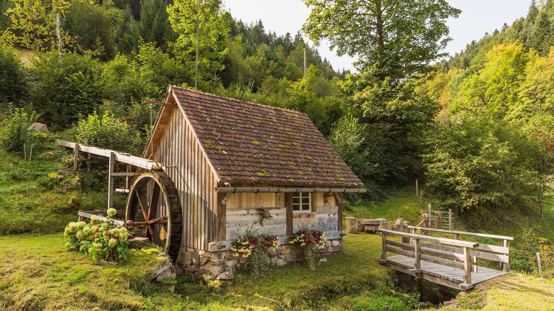 A small, traditional wooden water mill with a moss-covered roof and a large water wheel, nestled in a lush, green forest in the Black Forest region of Germany.