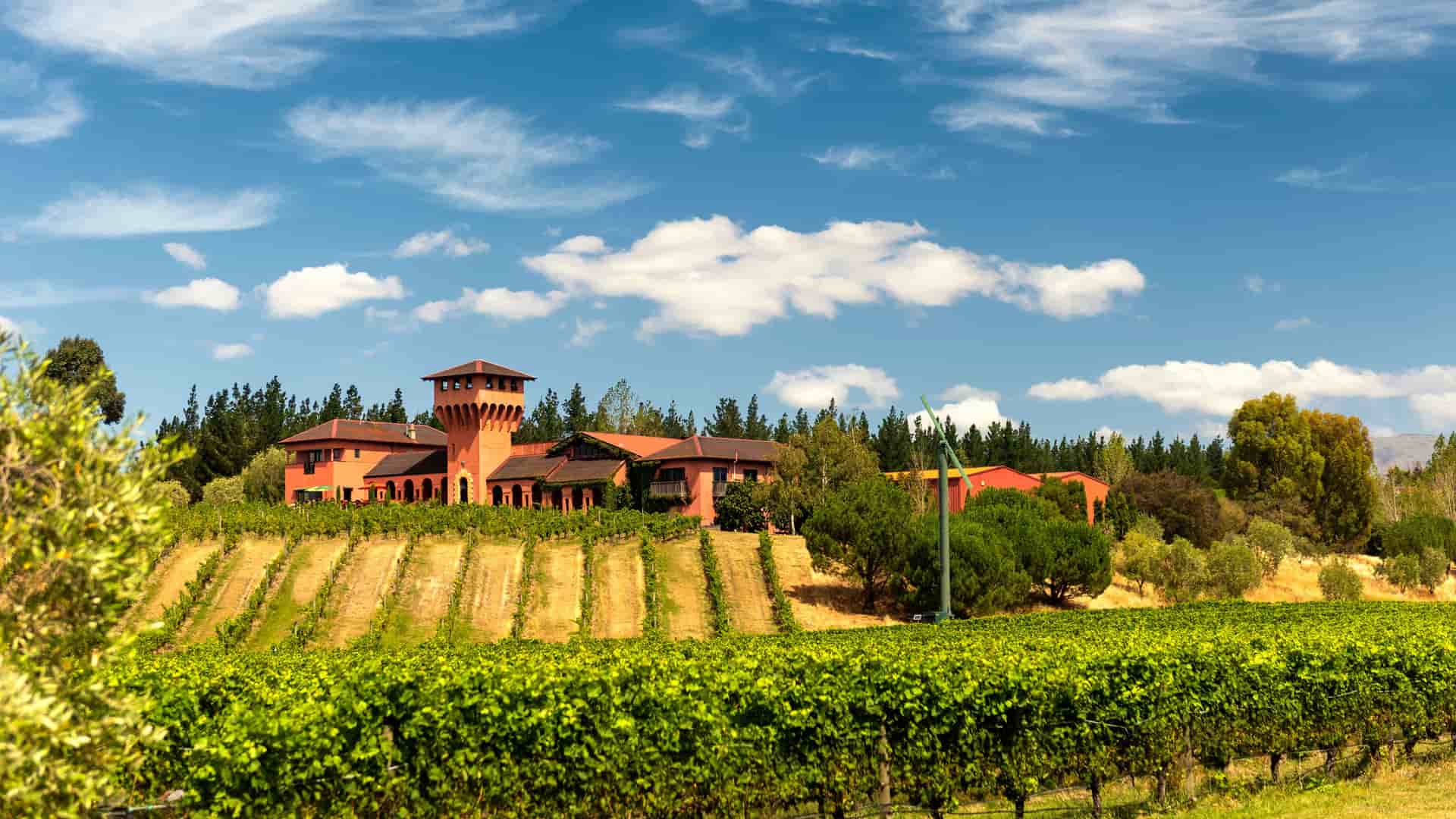 A bright, sunny landscape view of a vineyard in Blenheim, New Zealand. In the foreground are vibrant green rows of grapevines, leading up a gentle slope to a large, terracotta-colored building with a distinctive tower. The building is surrounded by trees and set against a backdrop of rolling hills and a clear blue sky with scattered white clouds.