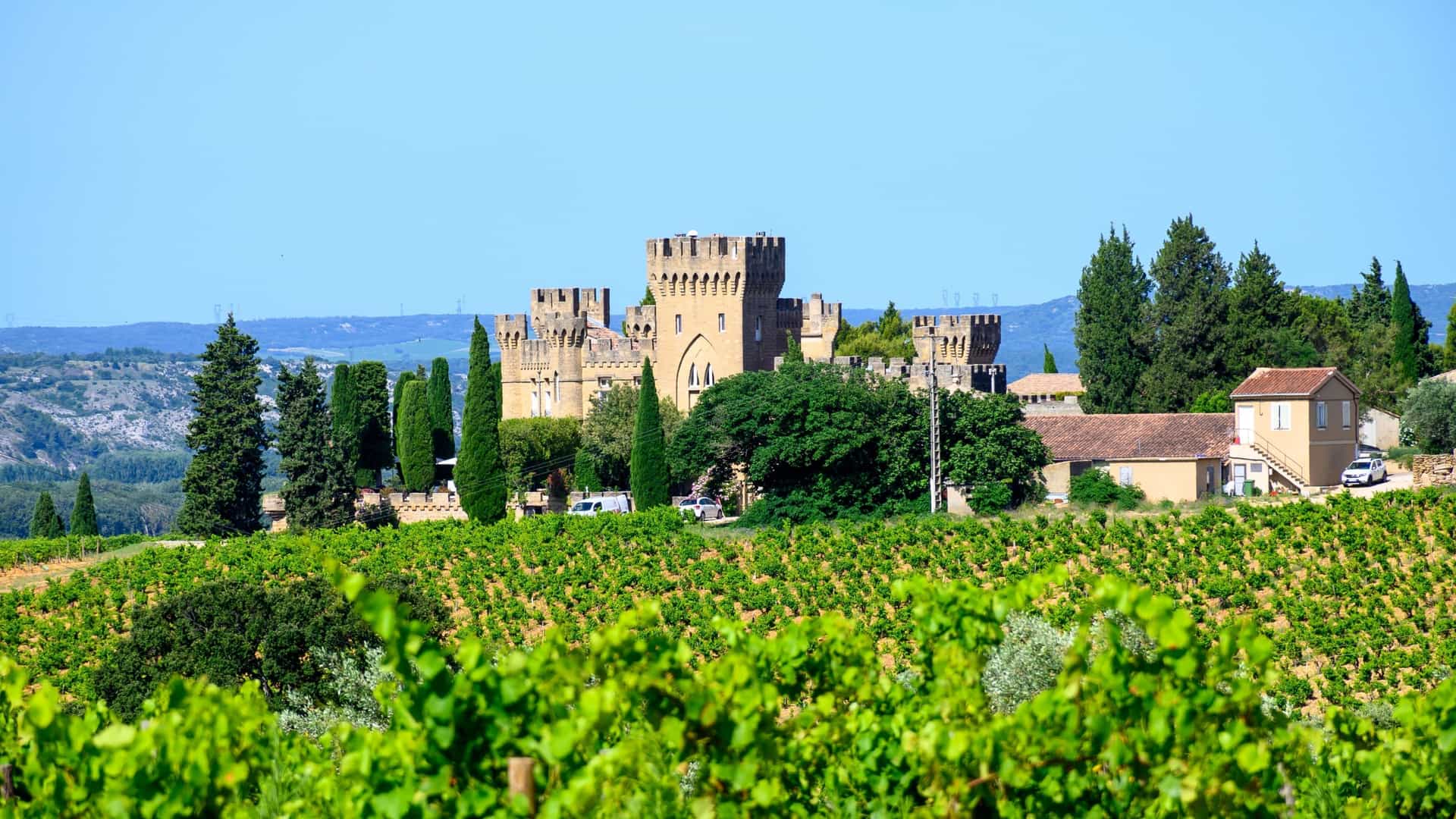 A sunny landscape view of the medieval-style Chateau de Bollene castle in Provence, France, with its towers and ramparts visible behind rows of vibrant green grapevines and cypress trees.