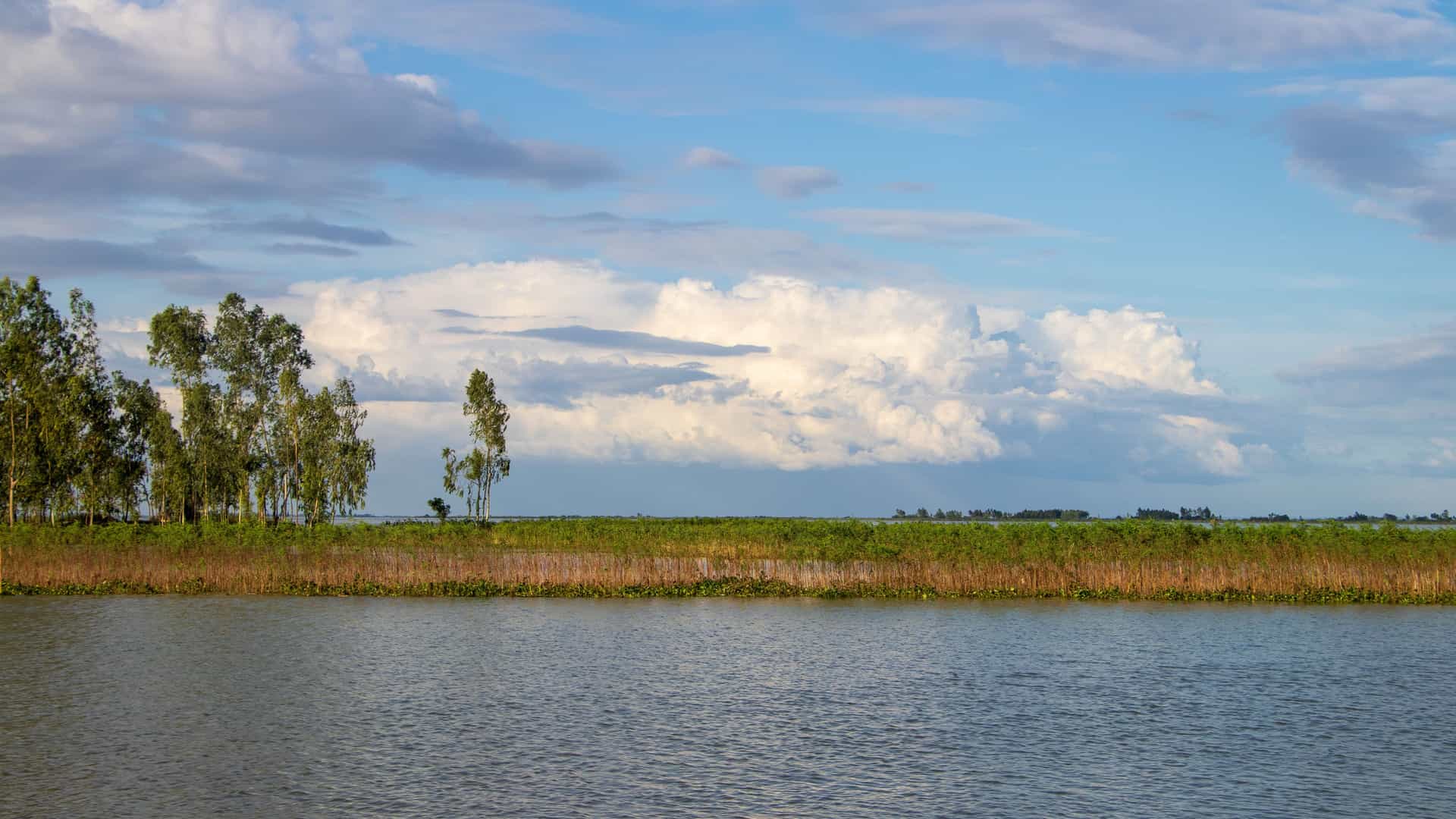 serene landscape view of the wide Brahmaputra River in Bangladesh. The foreground is the calm, gray water of the river. The midground features a low, flat bank of green fields and a line of trees, all under a vast sky filled with large, white and gray clouds.