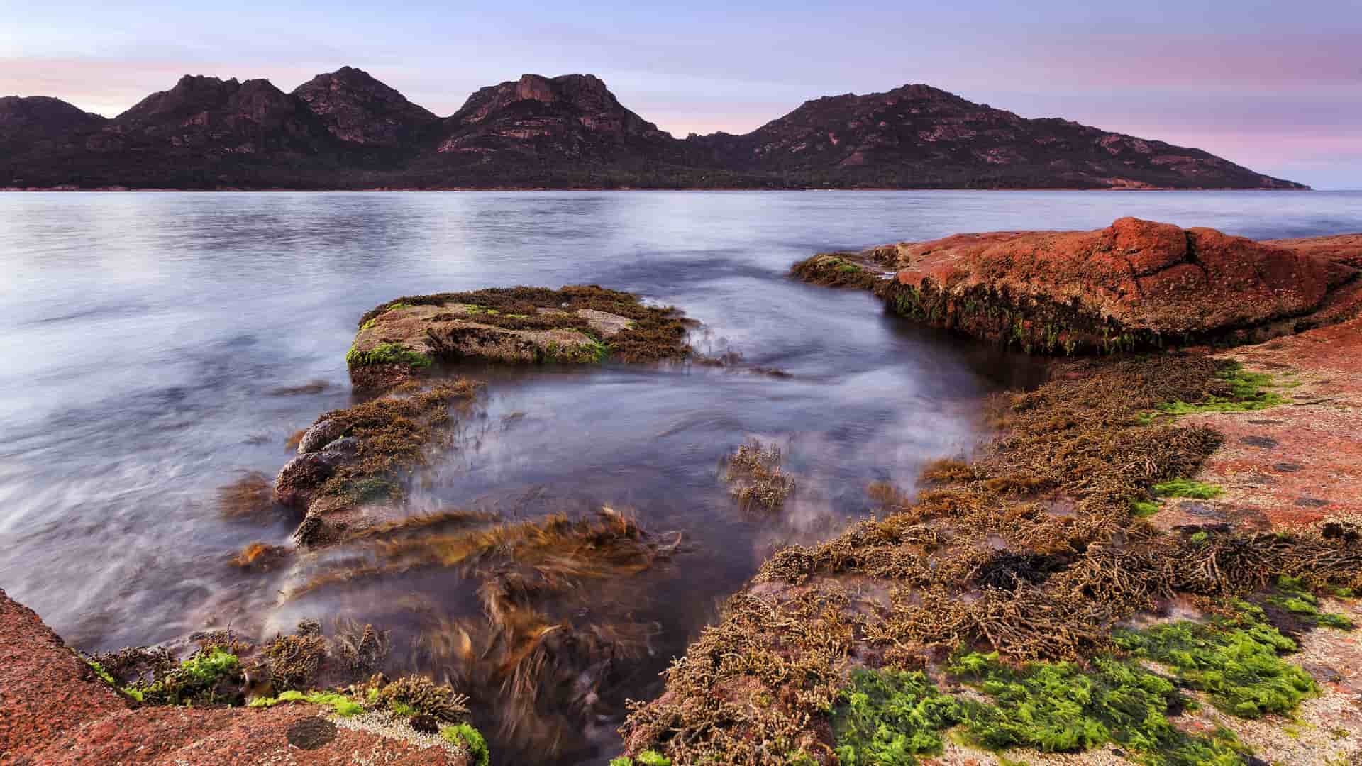 A serene coastal view near Burnie, Tasmania, with a rocky shore covered in seaweed and mountains in the distance, captured at dusk.