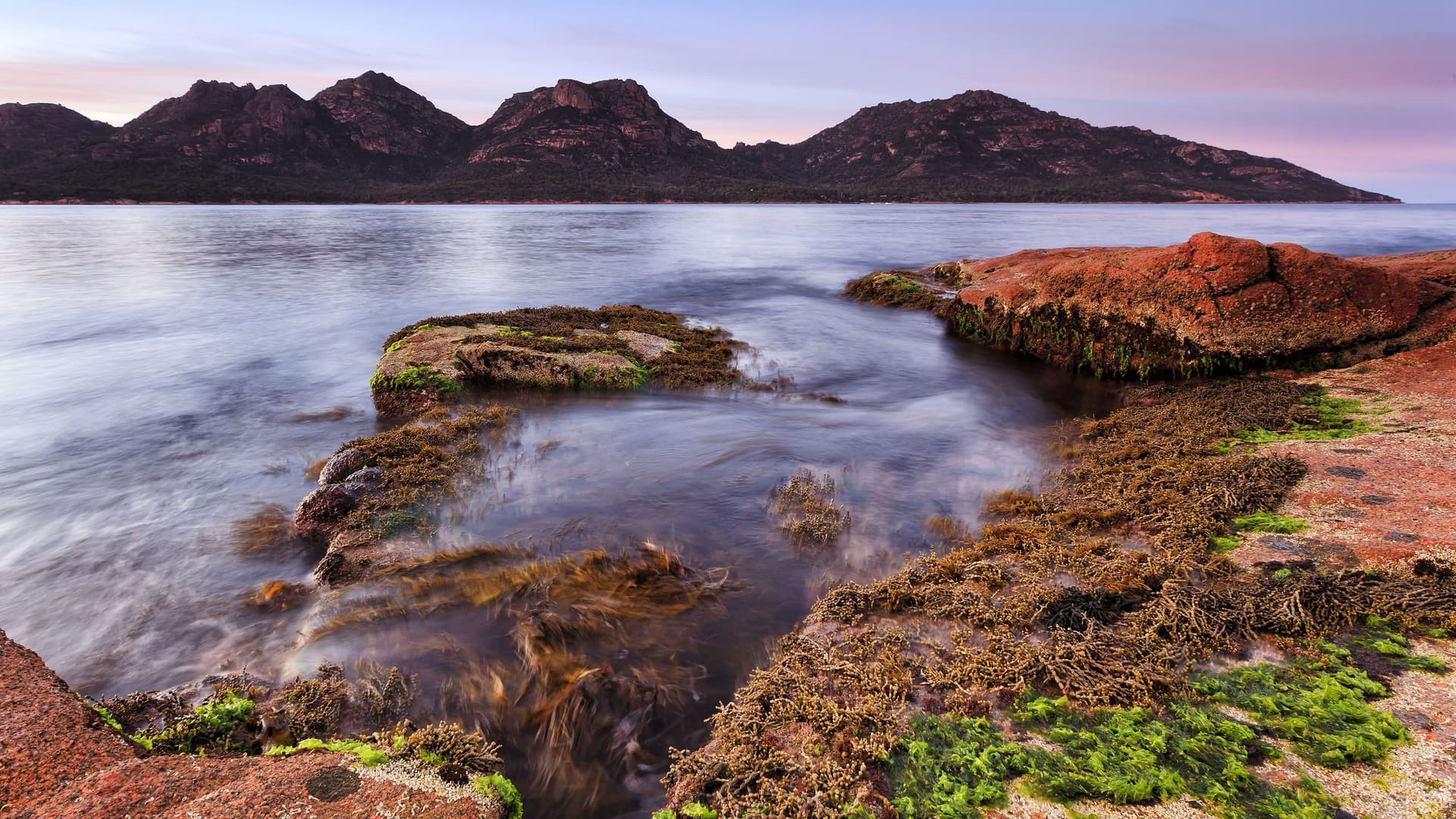 A serene coastal view near Burnie, Tasmania, with a rocky shore covered in seaweed and mountains in the distance, captured at dusk.