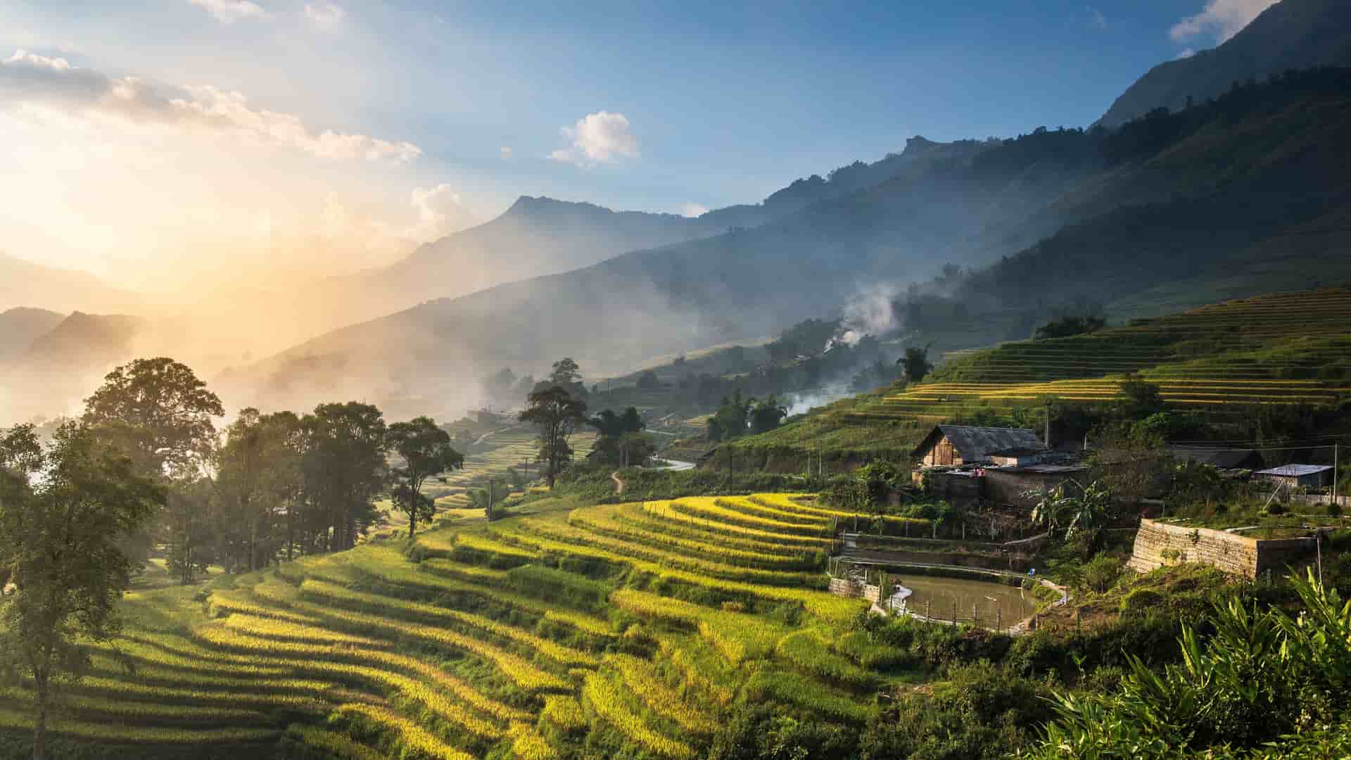 A beautiful landscape of terraced rice paddies in the mountains of Cai Be, Vietnam, with a small traditional house nestled among the fields at sunset.