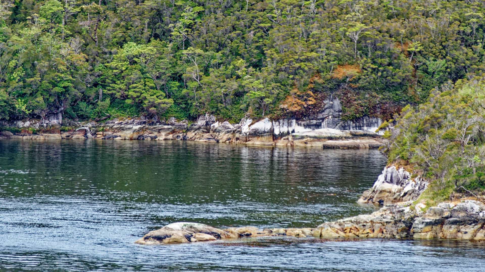 A serene landscape of Darwin Channel, a remote waterway in Patagonia, Chile, with dense forests and rocky shorelines reflected in the calm, flowing water.