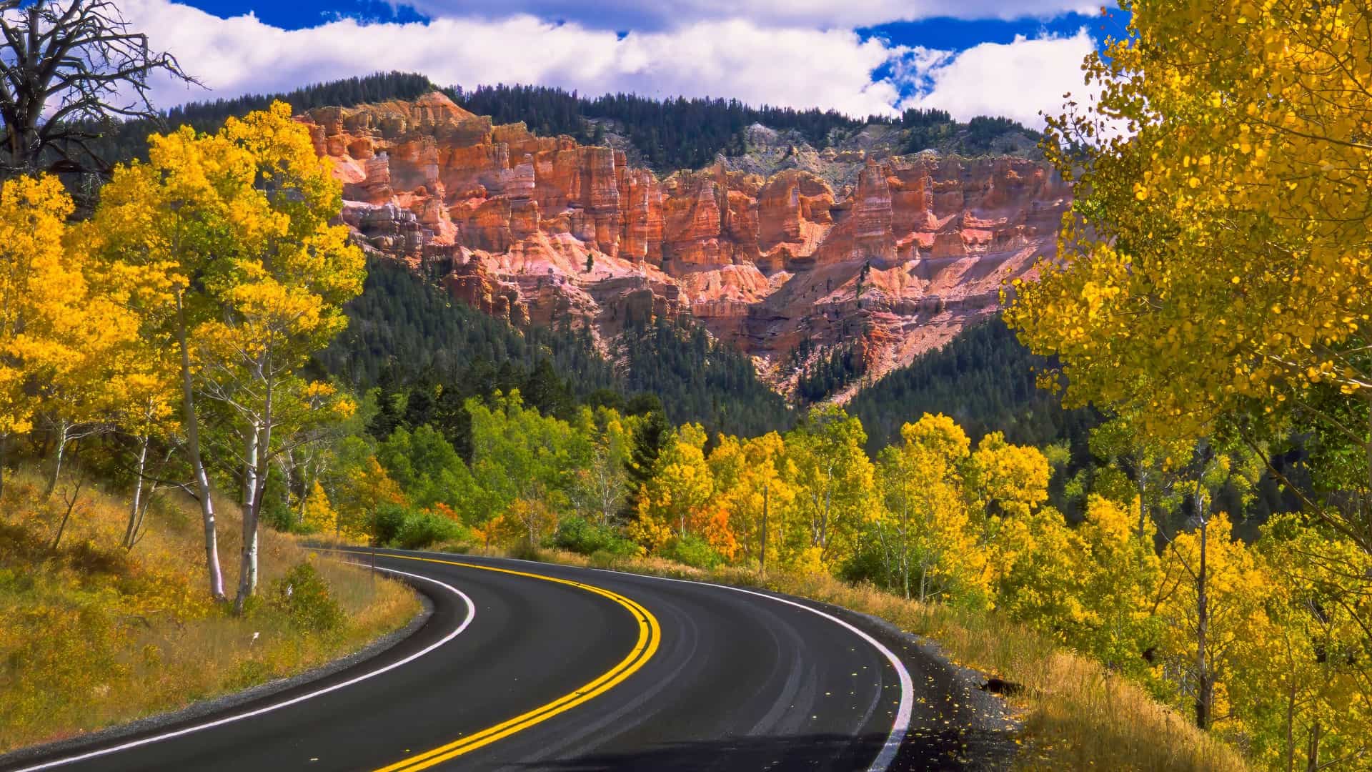 A scenic and winding road surrounded by vibrant yellow and golden aspen trees in the autumn, leading toward the colorful red rock formations near Cedar City, Utah.