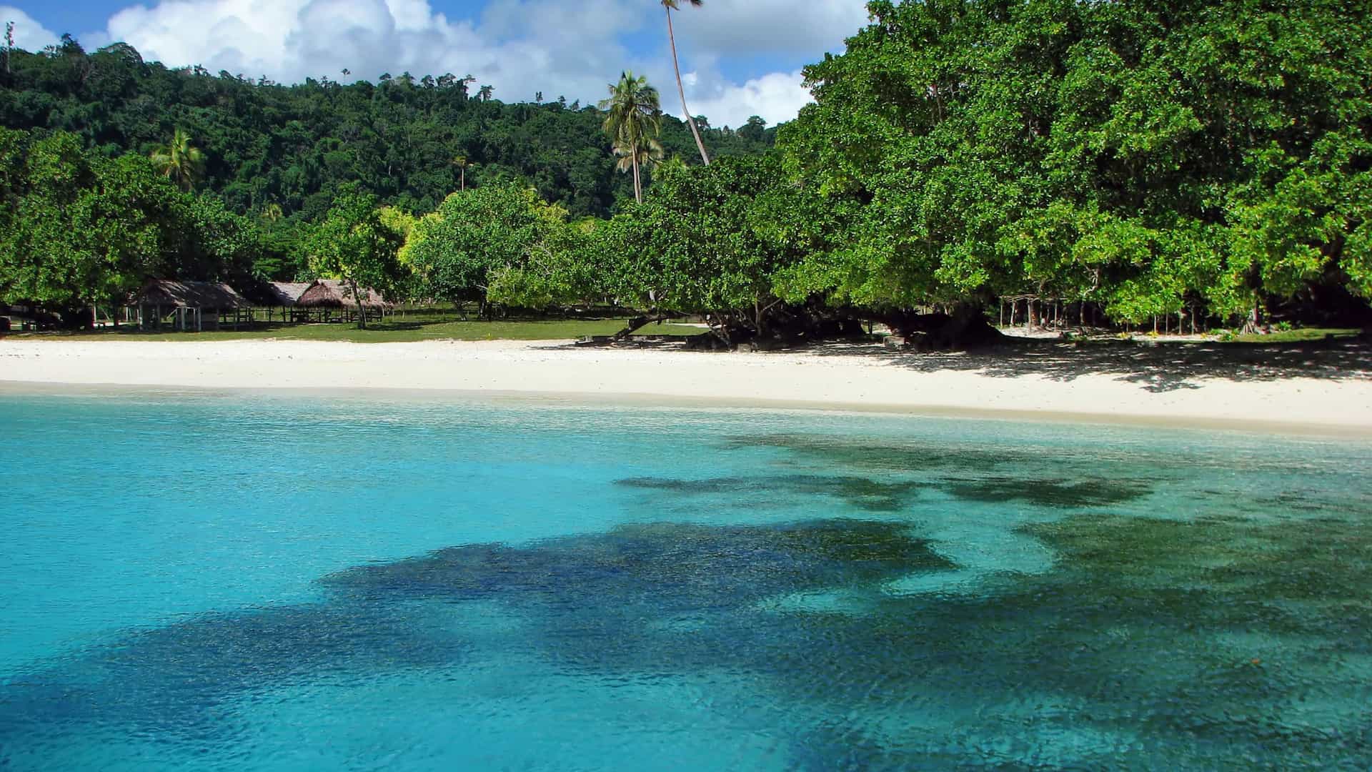 A beautiful beach with white sand and clear turquoise water, surrounded by lush green trees and huts, at Champagne Beach in Vanuatu.