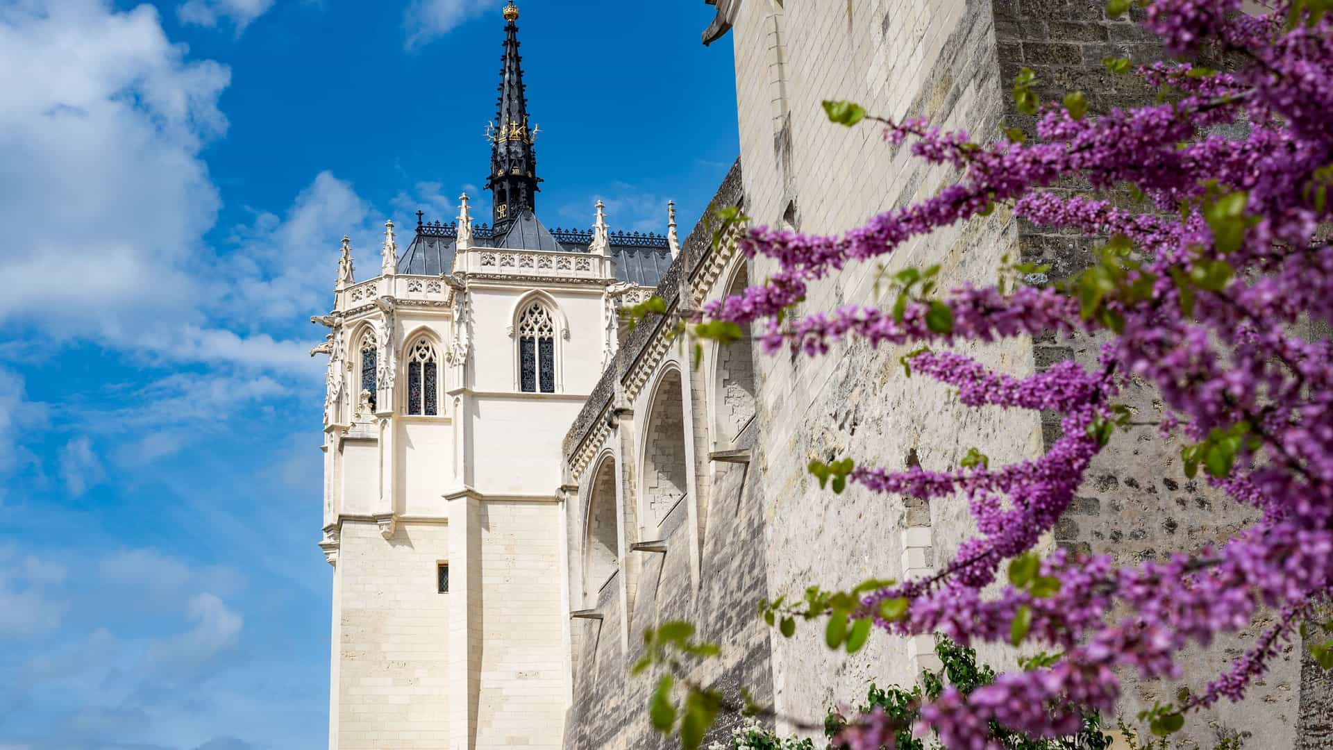 A side view of the Chateau de Grattequina's intricate stone architecture, with a prominent turret and arched windows, framed by vibrant pink blossoms.