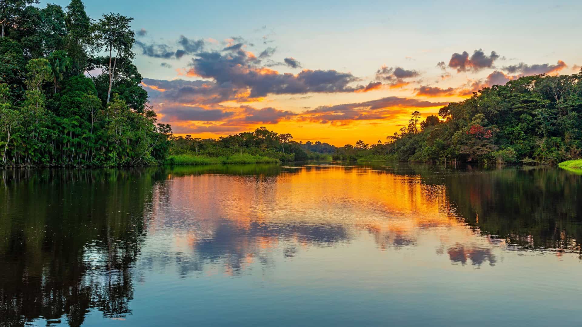 A beautiful sunset over the calm waters of Clavero Lake, with the vibrant colors of the sky reflecting on the surface and dense jungle foliage lining the banks.