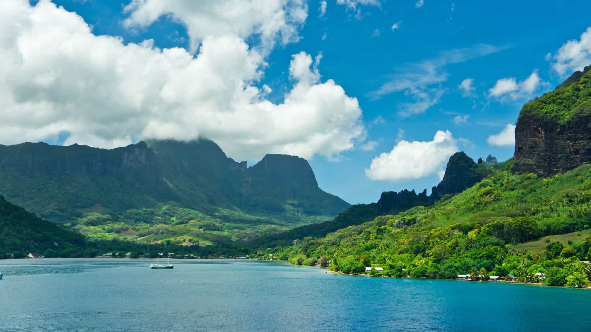 A stunning panoramic view of Cook's Bay, Moorea, French Polynesia, often captured from a high vantage point like Belvedere. The deep blue water of the bay is framed by the island's dramatic, lush green volcanic mountains and tropical foliage, evoking a sense of paradise.