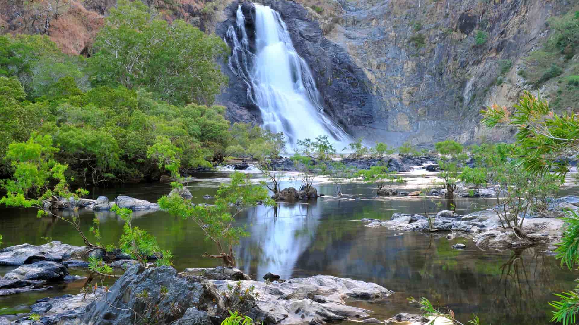 A breathtaking view of the roaring Isabella Falls near Cooktown, Queensland, Australia, with water cascading down a rocky cliff into a tranquil pool surrounded by lush green foliage.