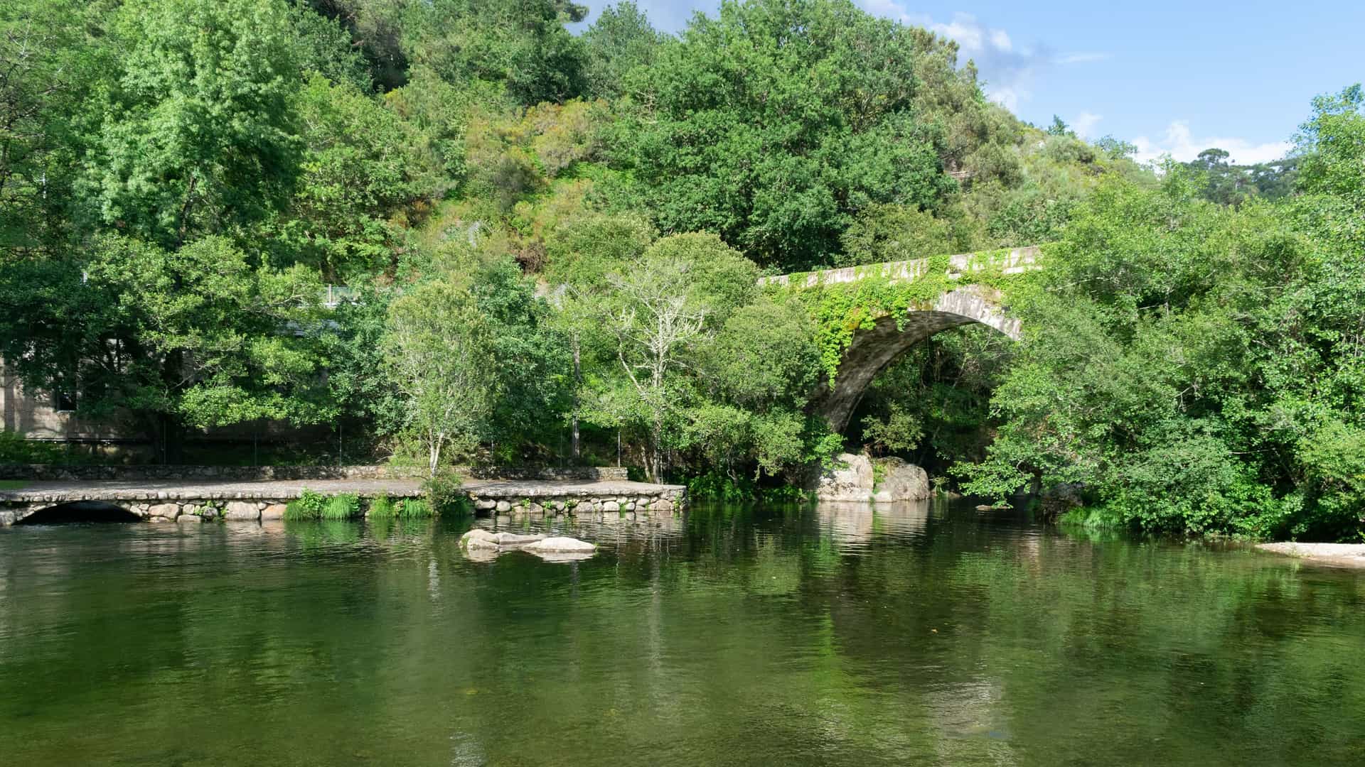 "A serene rural landscape with a historic stone arch bridge covered in ivy and green foliage, spanning a calm river in the lush forested countryside near Covelo, Spain. "