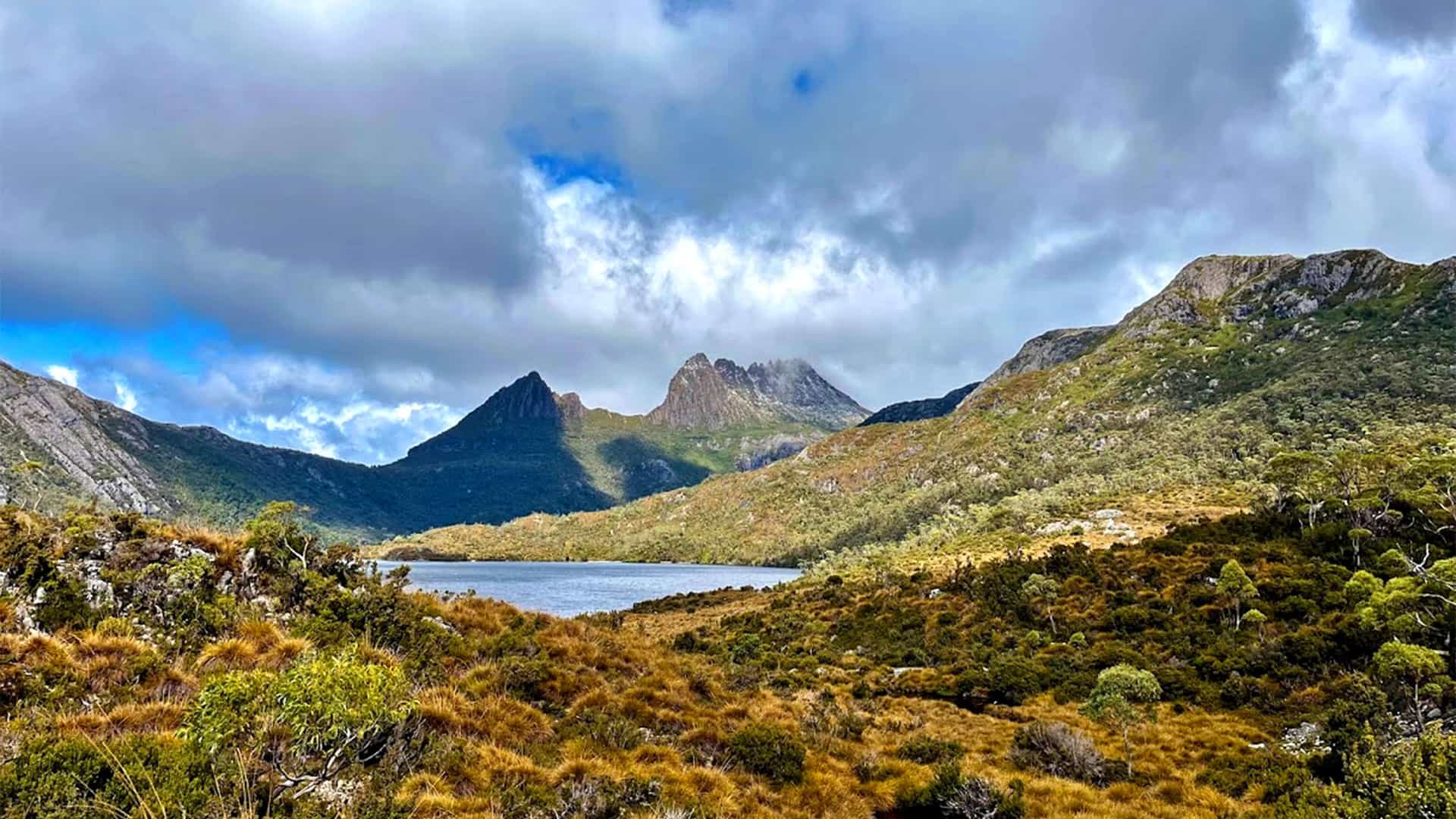 "A panoramic view of the iconic Cradle Mountain in Tasmania, Australia, with its jagged peaks partially covered by clouds, overlooking the calm waters of Dove Lake and surrounded by alpine vegetation. "