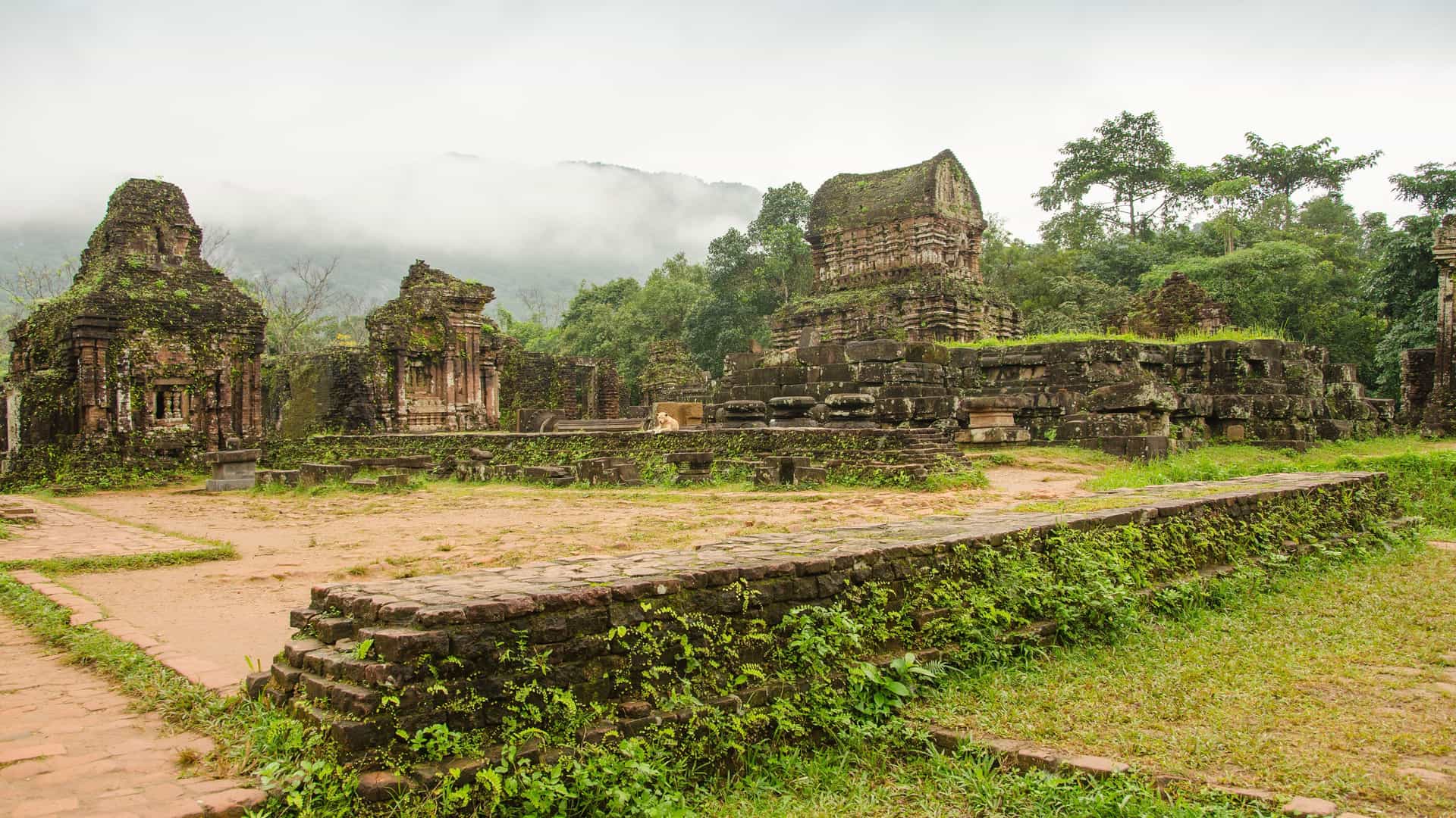 Moss-covered ancient Champa temples and brick structures stand amidst a lush jungle landscape at the My Son Sanctuary near Da Nang, Vietnam.