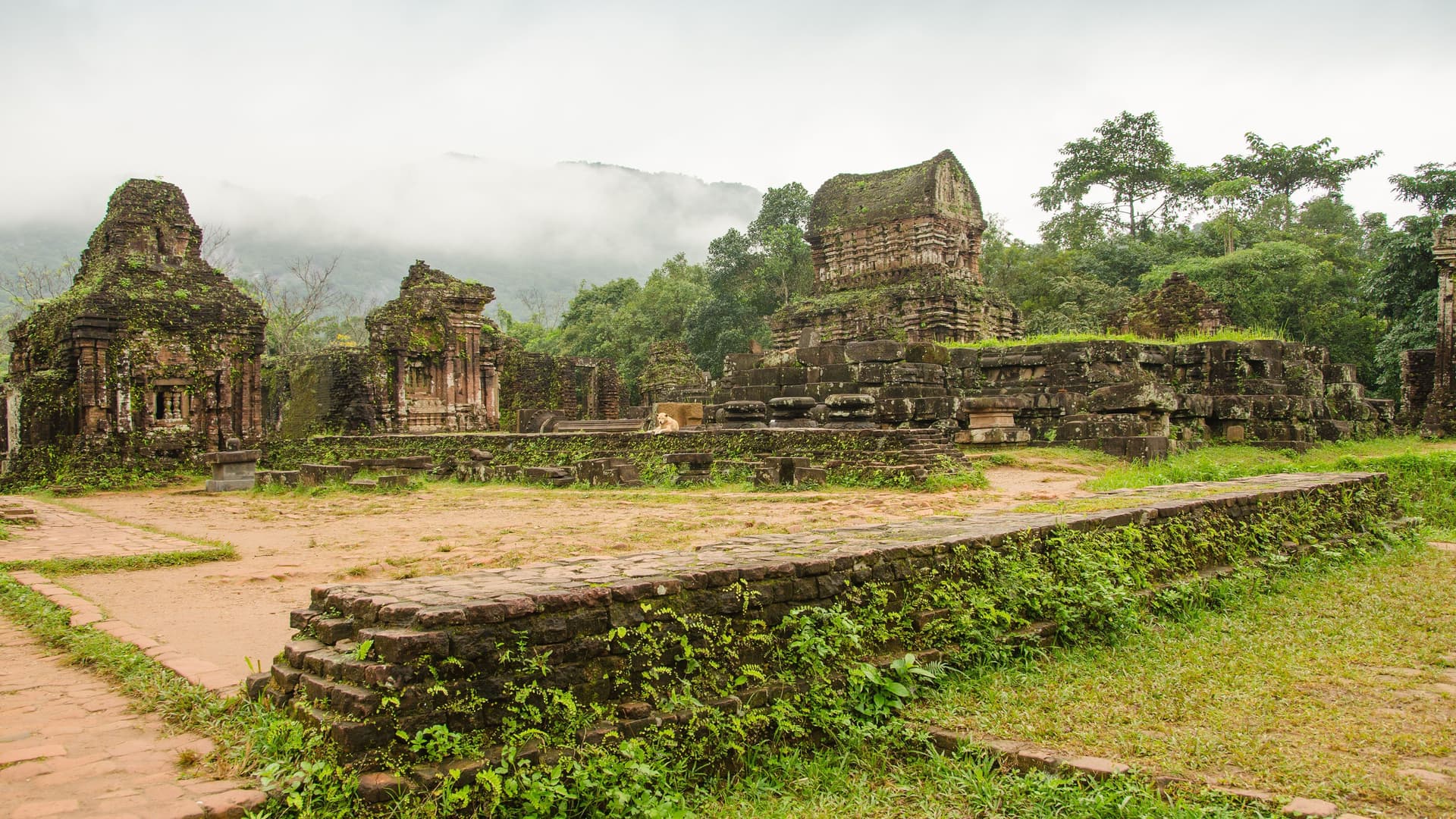 Moss-covered ancient Champa temples and brick structures stand amidst a lush jungle landscape at the My Son Sanctuary near Da Nang, Vietnam.