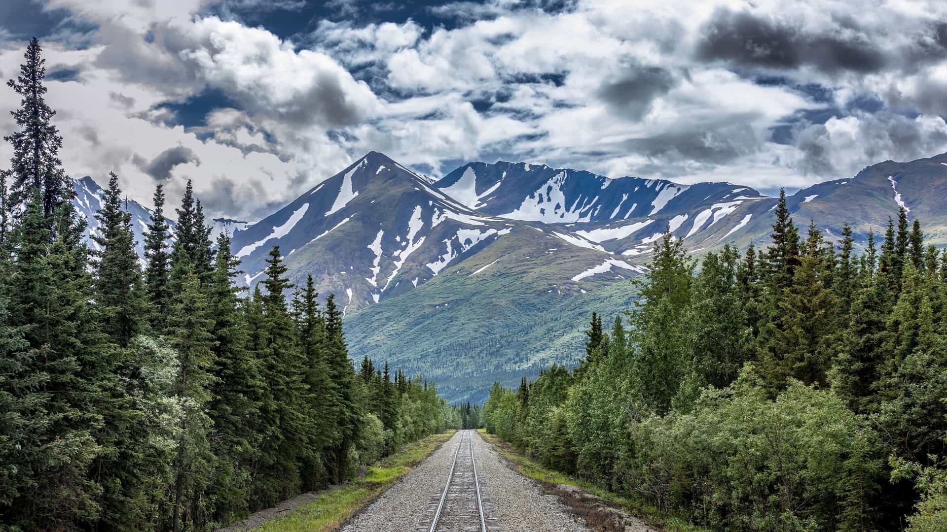 The scenic Alaska Railroad tracks leading through a lush evergreen forest towards the majestic, snow-capped mountains of Denali National Park, Alaska.