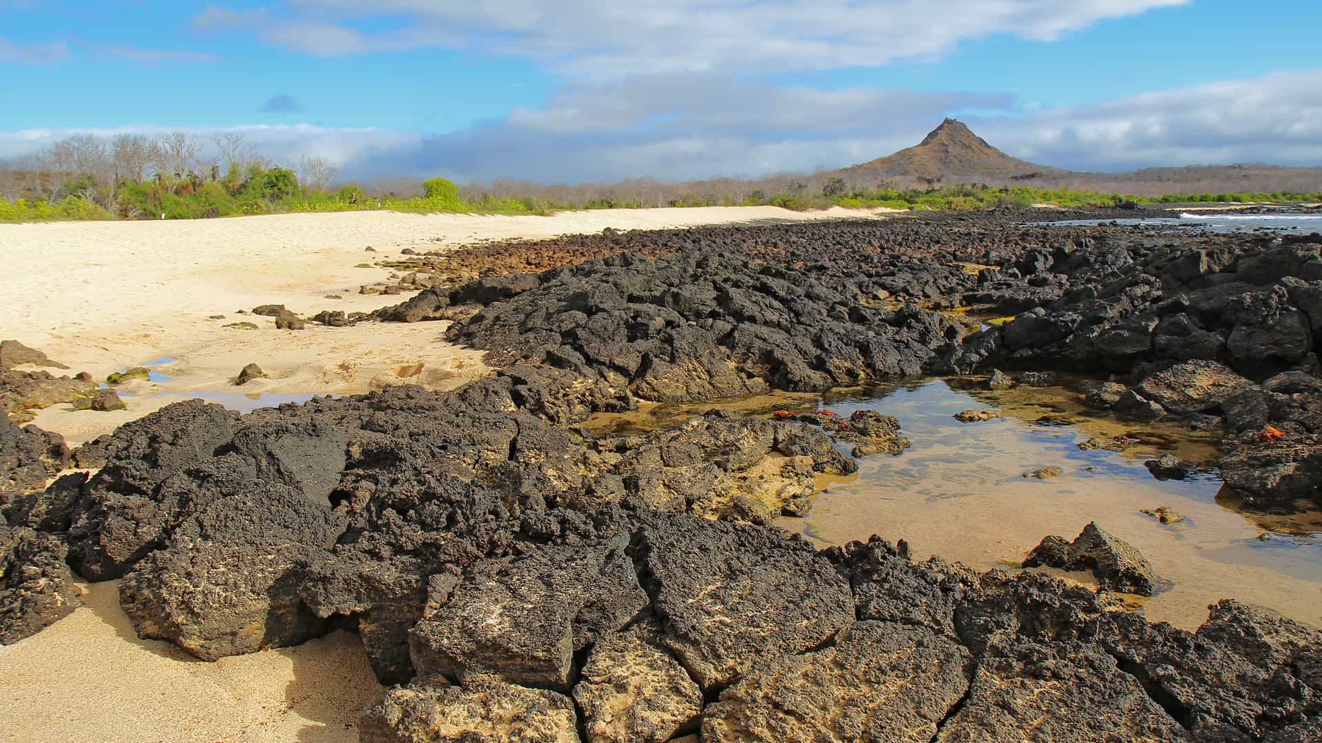 A landscape view of Dragon Hill on Santa Cruz Island in the Galapagos, showing a sandy beach and a rugged lava rock shoreline with a volcanic cone in the background.