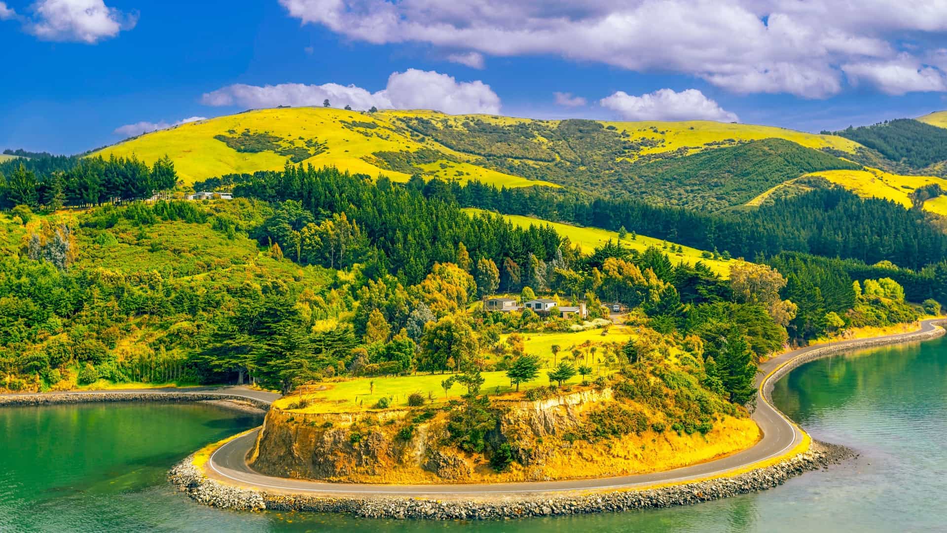 A breathtaking view of the scenic coastline in Dunedin, New Zealand, with rolling green hills and dense forests meeting the tranquil, winding waters of Otago Harbour.