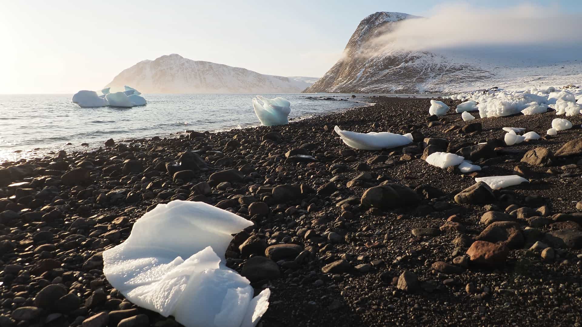 "A rugged Arctic beach with large black and brown stones, with pieces of white ice and small icebergs scattered on the shore and floating in the water, with snow-covered mountains in the distance at Erik Cove, Nunavut. "