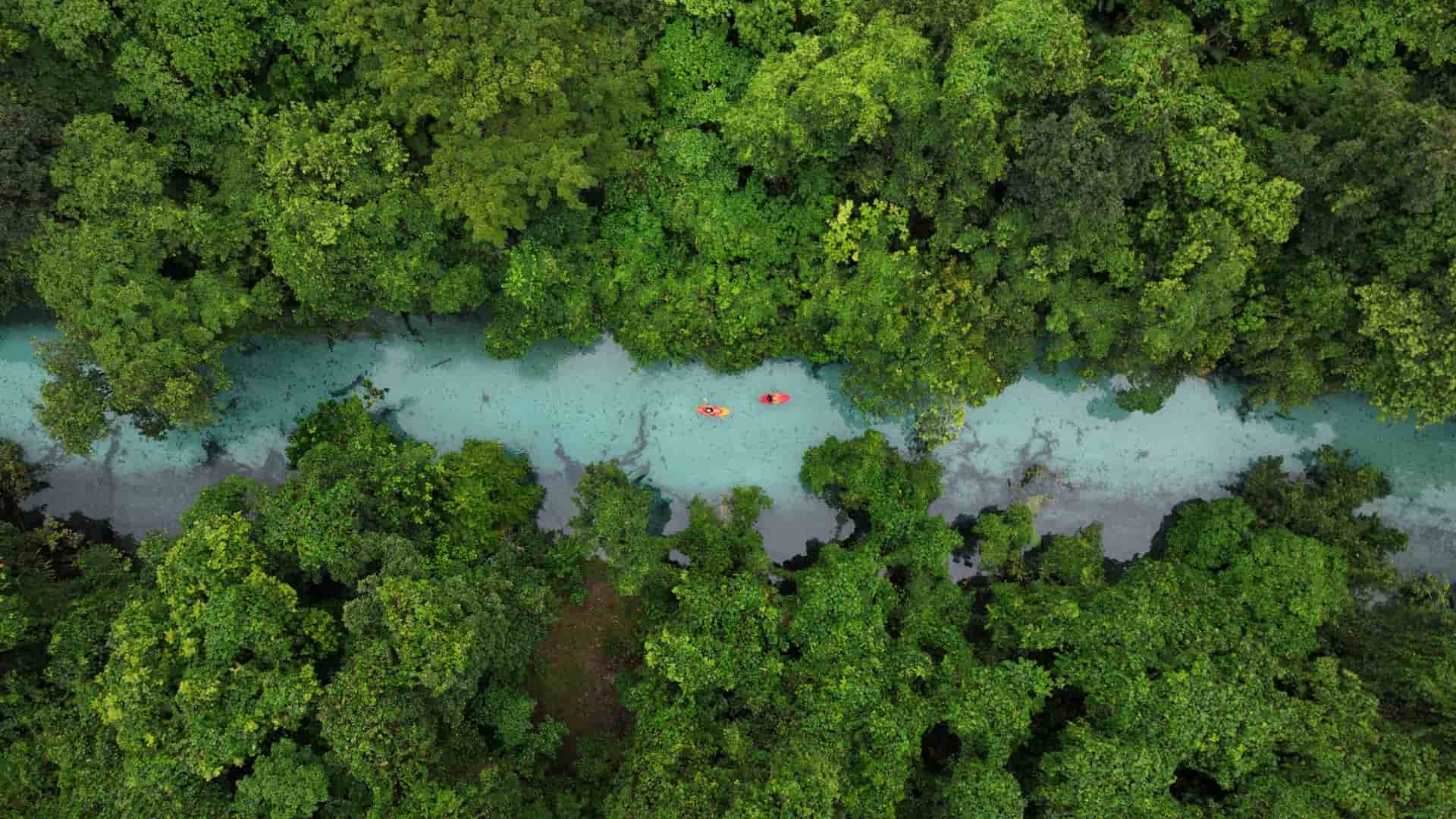 An aerial view of two red kayaks floating on a stunning, clear turquoise river surrounded by dense, lush green rainforest on Espiritu Santo Island, Vanuatu.