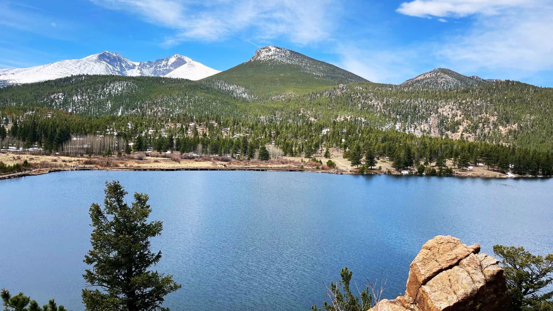 A stunning, tranquil view of Lily Lake in Estes Park, Colorado, part of the Rocky Mountain National Park. The calm water of the lake perfectly reflects the surrounding landscape. The foreground shows lily pads and marsh grasses near the shoreline. In the background, the majestic Rocky Mountains, likely including peaks such as Longs Peak and Twin Sisters, rise above the pine and aspen trees that line the lake, under a bright sky.