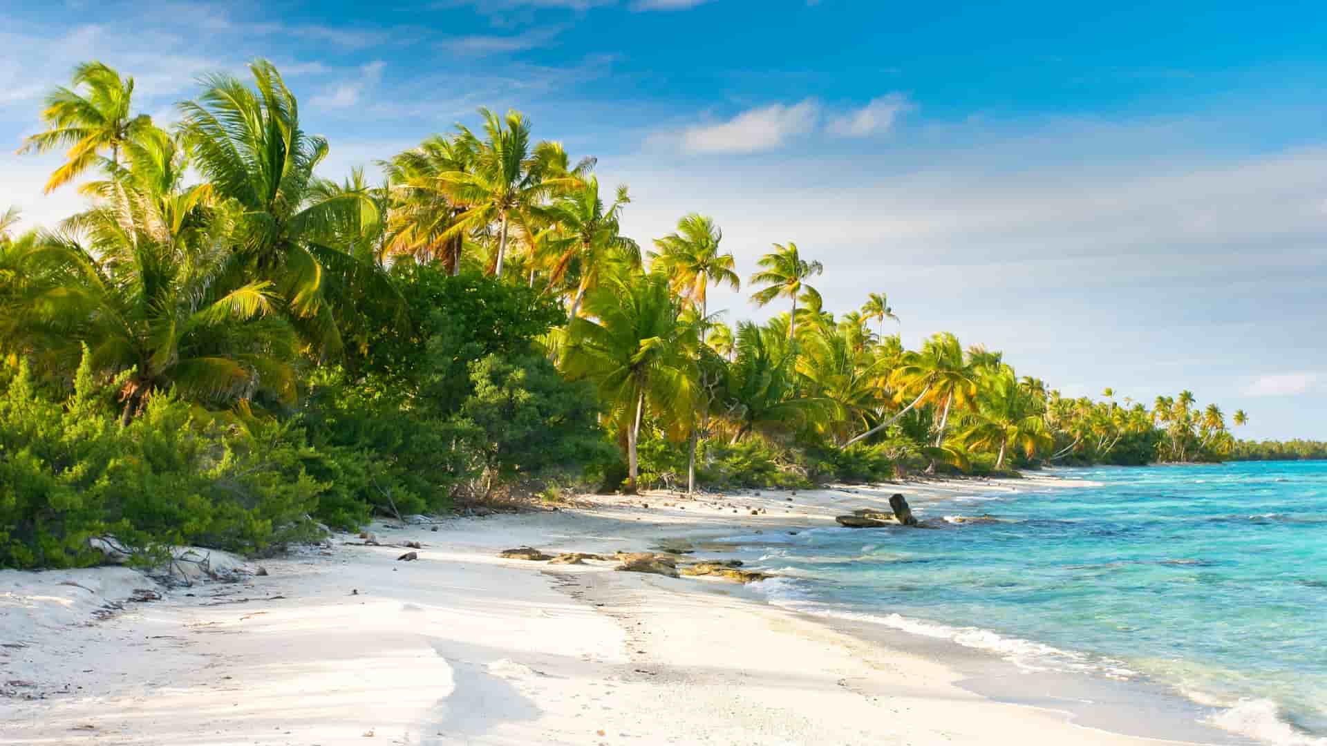A serene tropical beach on Fakarava atoll in French Polynesia, featuring a white sandy shoreline fringed with swaying palm trees and clear turquoise waters under a sunny blue sky.