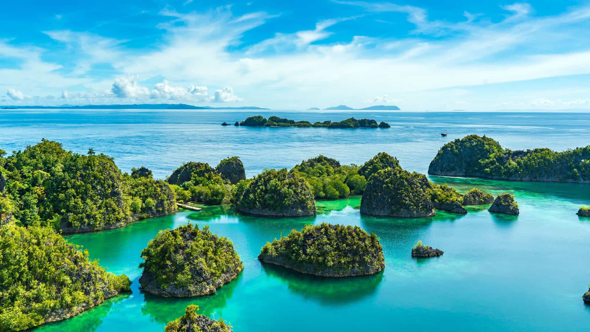 A high-angle view of the dramatic limestone karsts covered in lush green vegetation rising from the crystal-clear turquoise waters of Fam Islands in Raja Ampat.