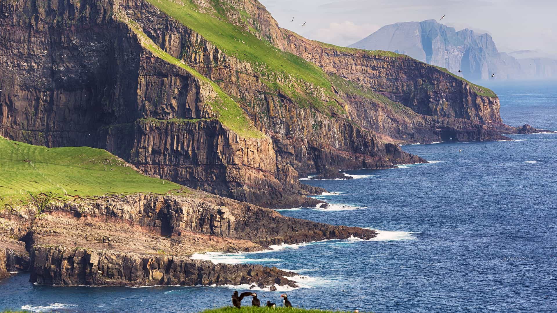 A breathtaking view of the steep, grassy cliffs of the Faroe Islands plunging into the deep blue Atlantic Ocean, with a small group of puffins resting on a lower ledge.