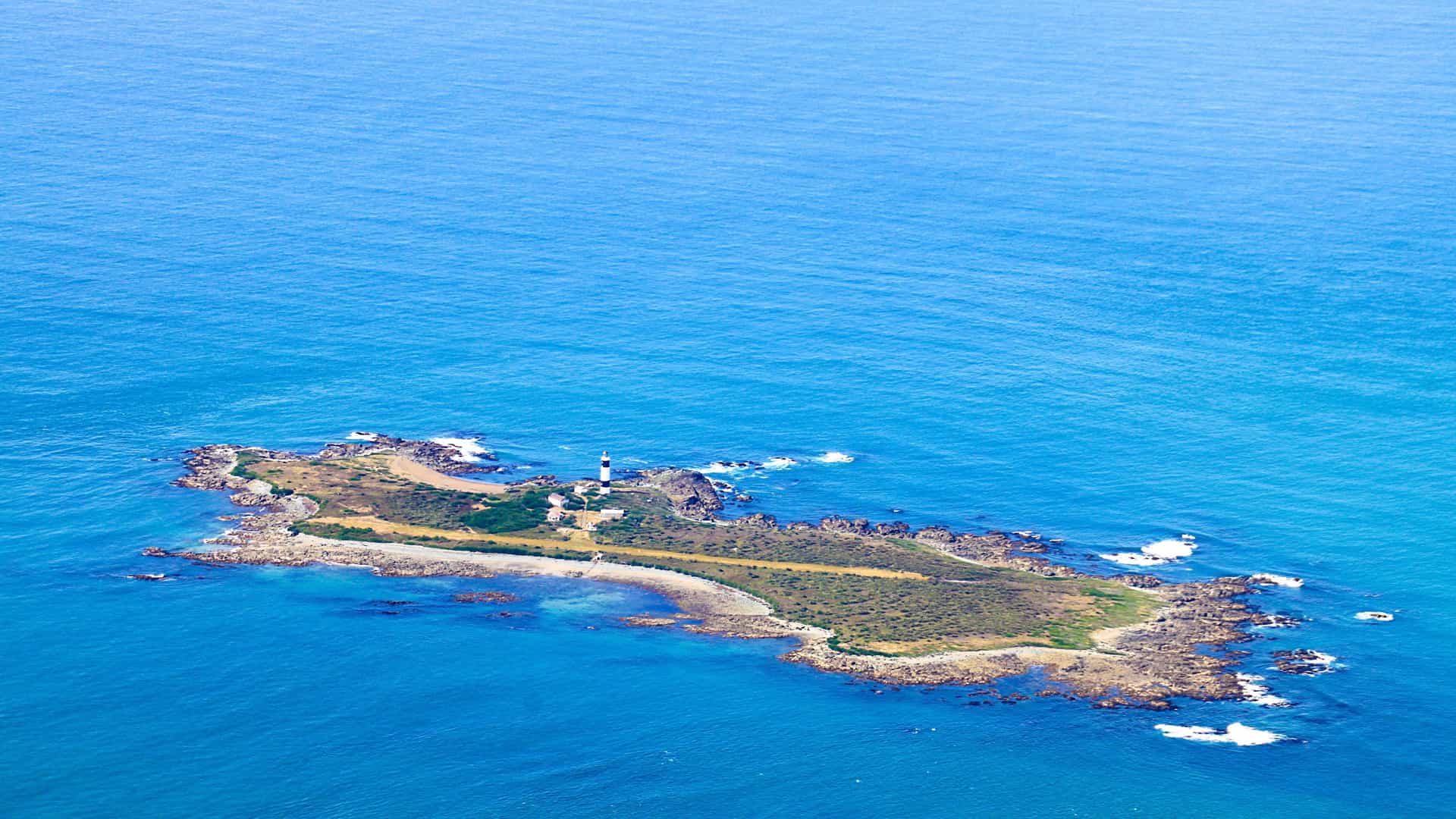 An aerial view of an isolated, rocky island in the Foveaux Strait, New Zealand, surrounded by clear blue water, featuring a white lighthouse.