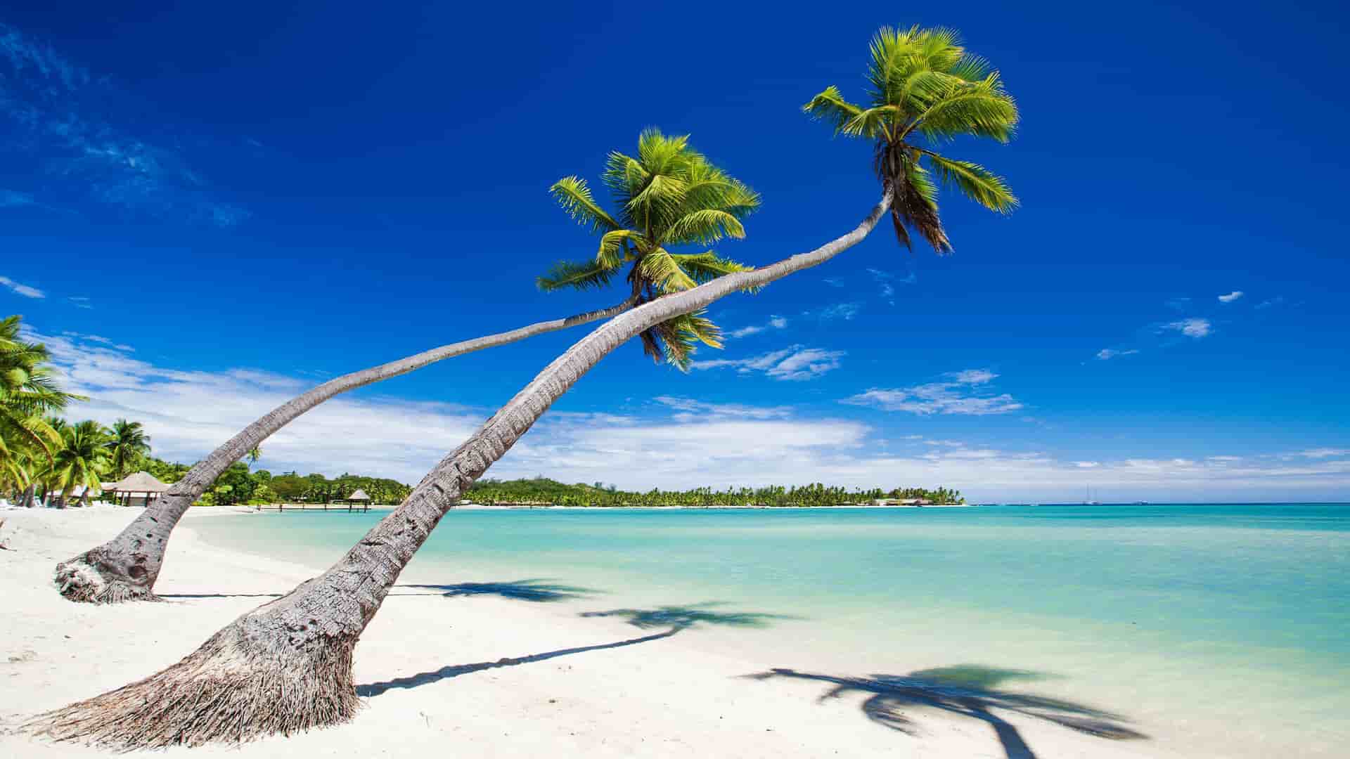 A scenic view of Fulanga, Fiji, featuring two gracefully leaning palm trees on a pristine white-sand beach with a clear turquoise lagoon and a bright blue sky.