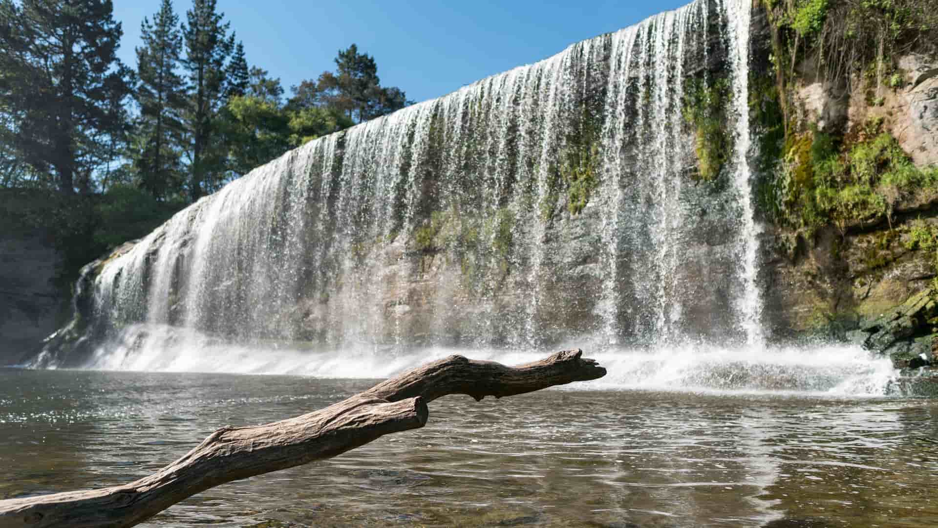 A wide-angle, ground-level shot of the Rere Rockslide waterfall in Gisborne, New Zealand, showcasing a log in the foreground and a wide sheet of water cascading down.