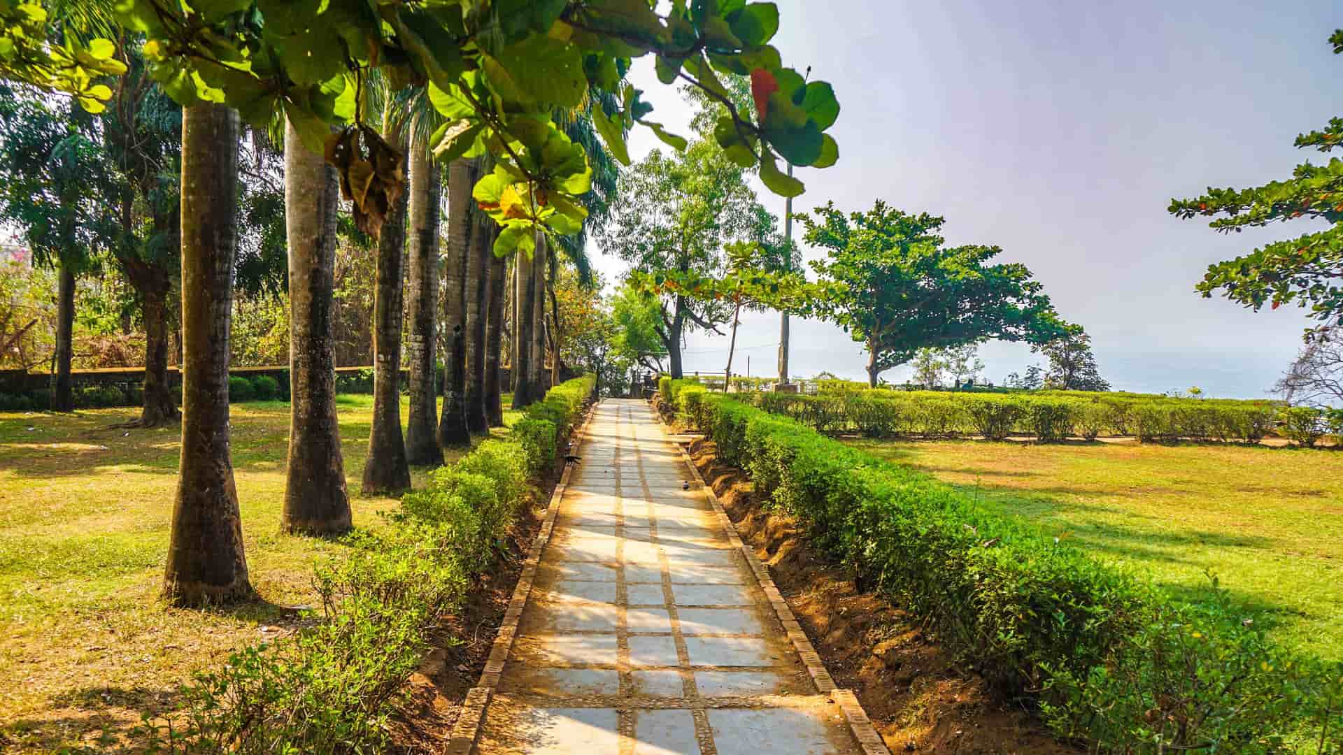 A serene, wide-angle shot of a walking path lined with palm trees and green bushes in the historic gardens of Mormugao, Goa, with the ocean visible in the distance.