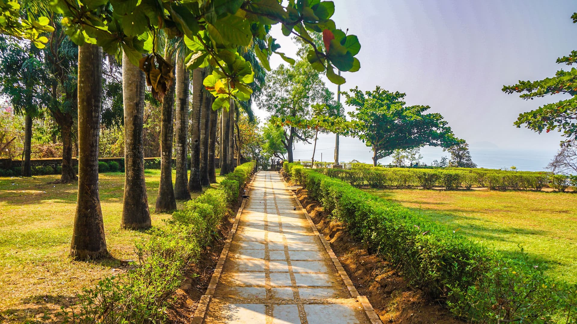 A serene, wide-angle shot of a walking path lined with palm trees and green bushes in the historic gardens of Mormugao, Goa, with the ocean visible in the distance.