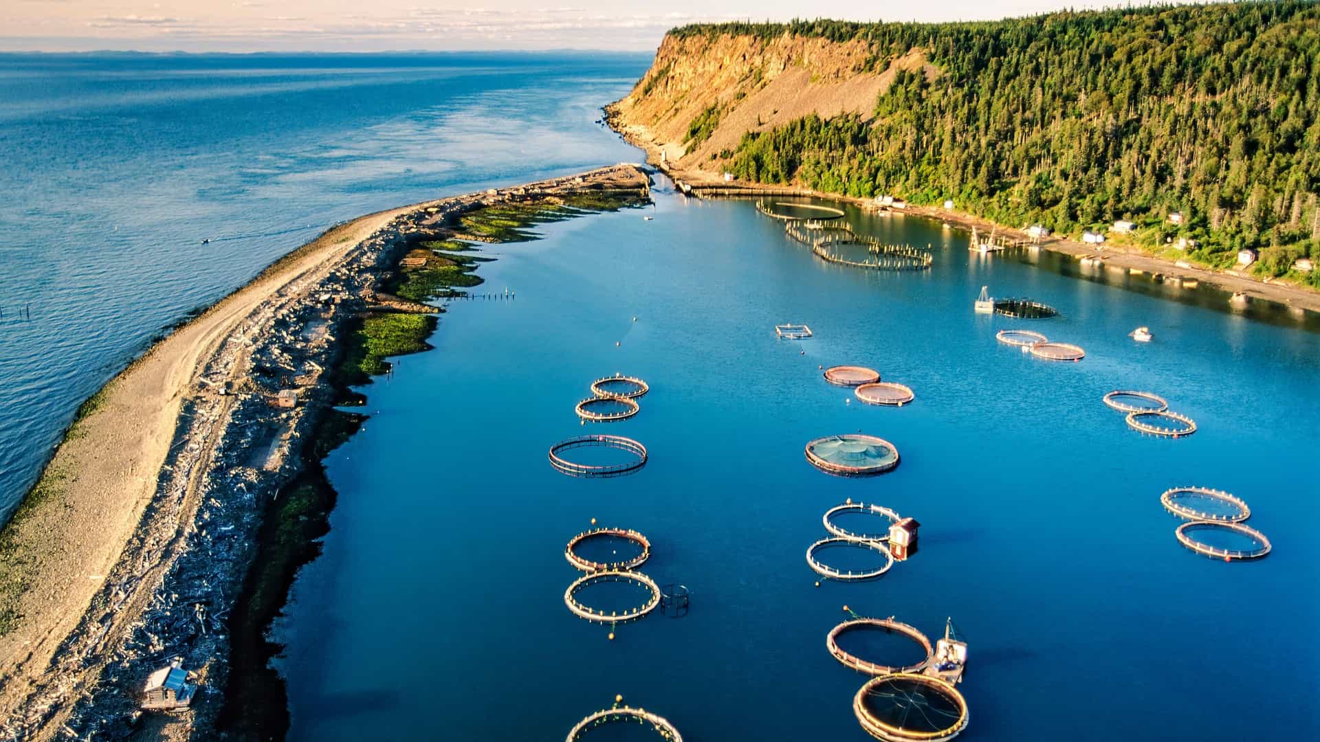 An aerial view of the coast of Grand Manan Island in New Brunswick, Canada, showing aquaculture fish farms in a bay next to a long causeway and a rocky cliff.
