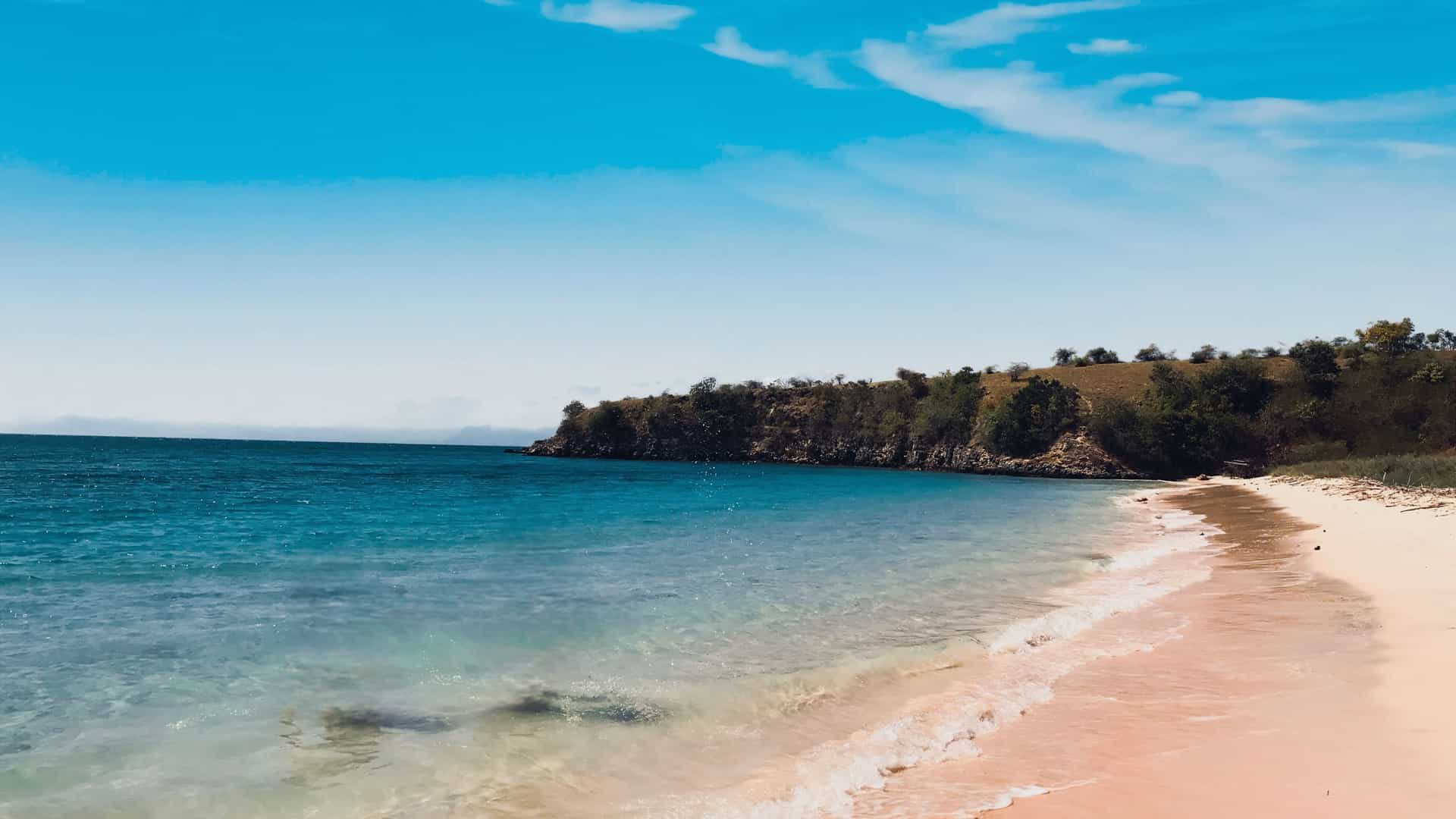 A scenic coastal view of the pink sand beach at Horseshoe Bay with turquoise ocean water, white foam from gentle waves, and a green headland under a clear blue sky.