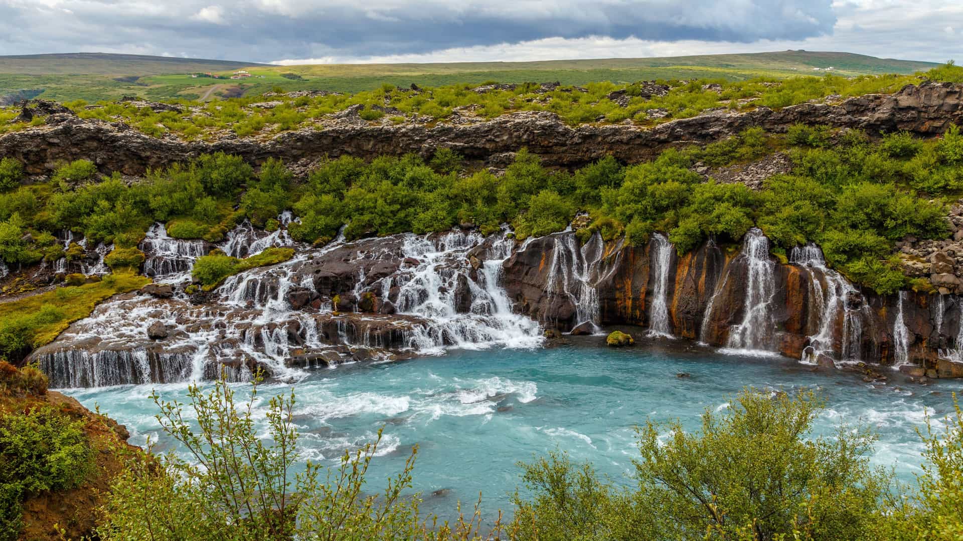 A scenic shot of the Hraunfossar waterfalls in Husafell, Iceland, showing multiple cascades of white water flowing out of a lava field into a beautiful, turquoise river.