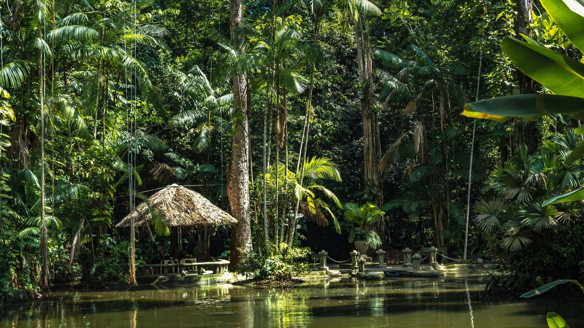 A beautiful and lush jungle scene in Icoaraci, Belem, Brazil, with a calm body of water, a traditional thatched hut, and a variety of tropical trees and plants.